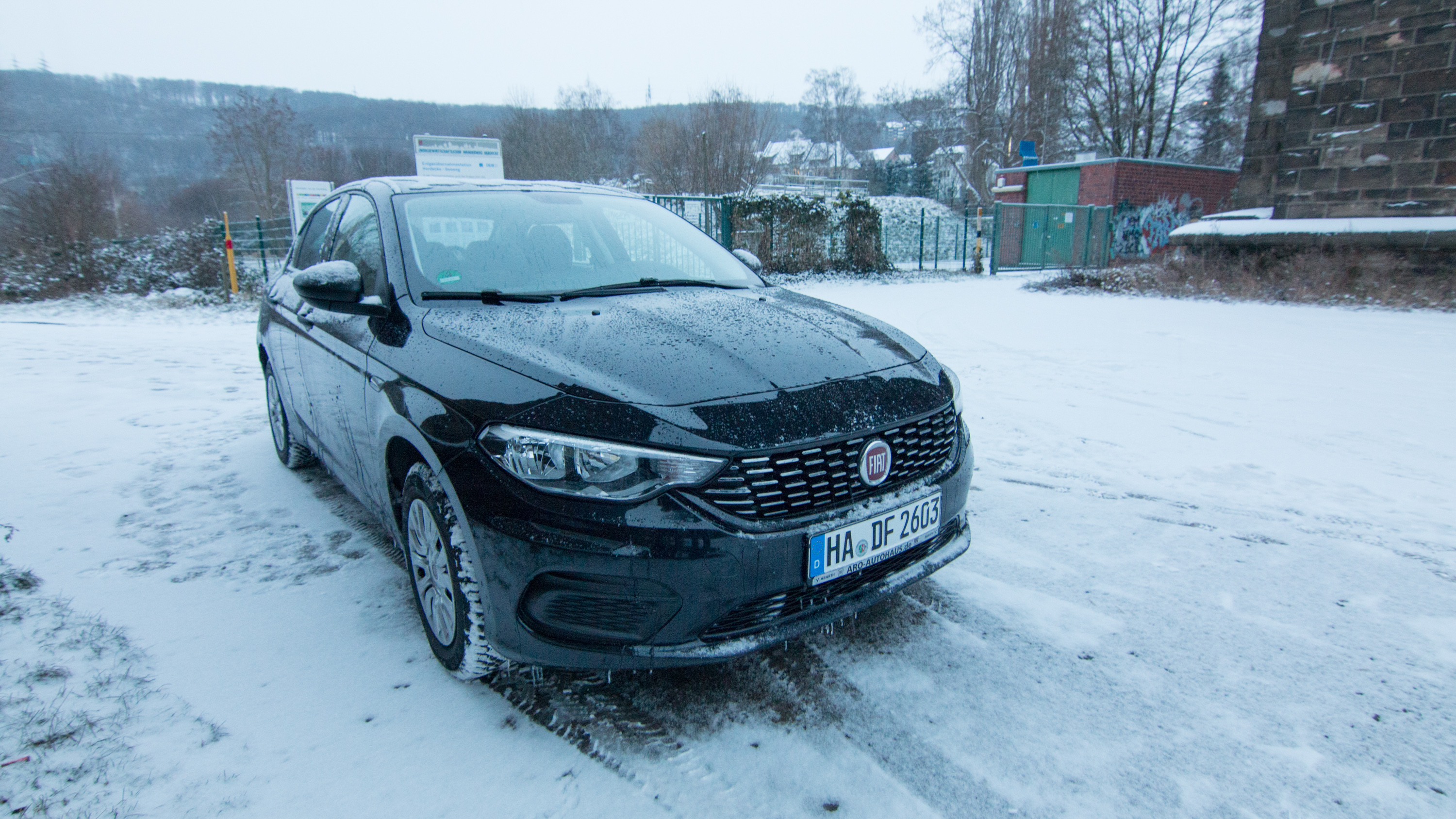 Mein Tipo im Schnee :)