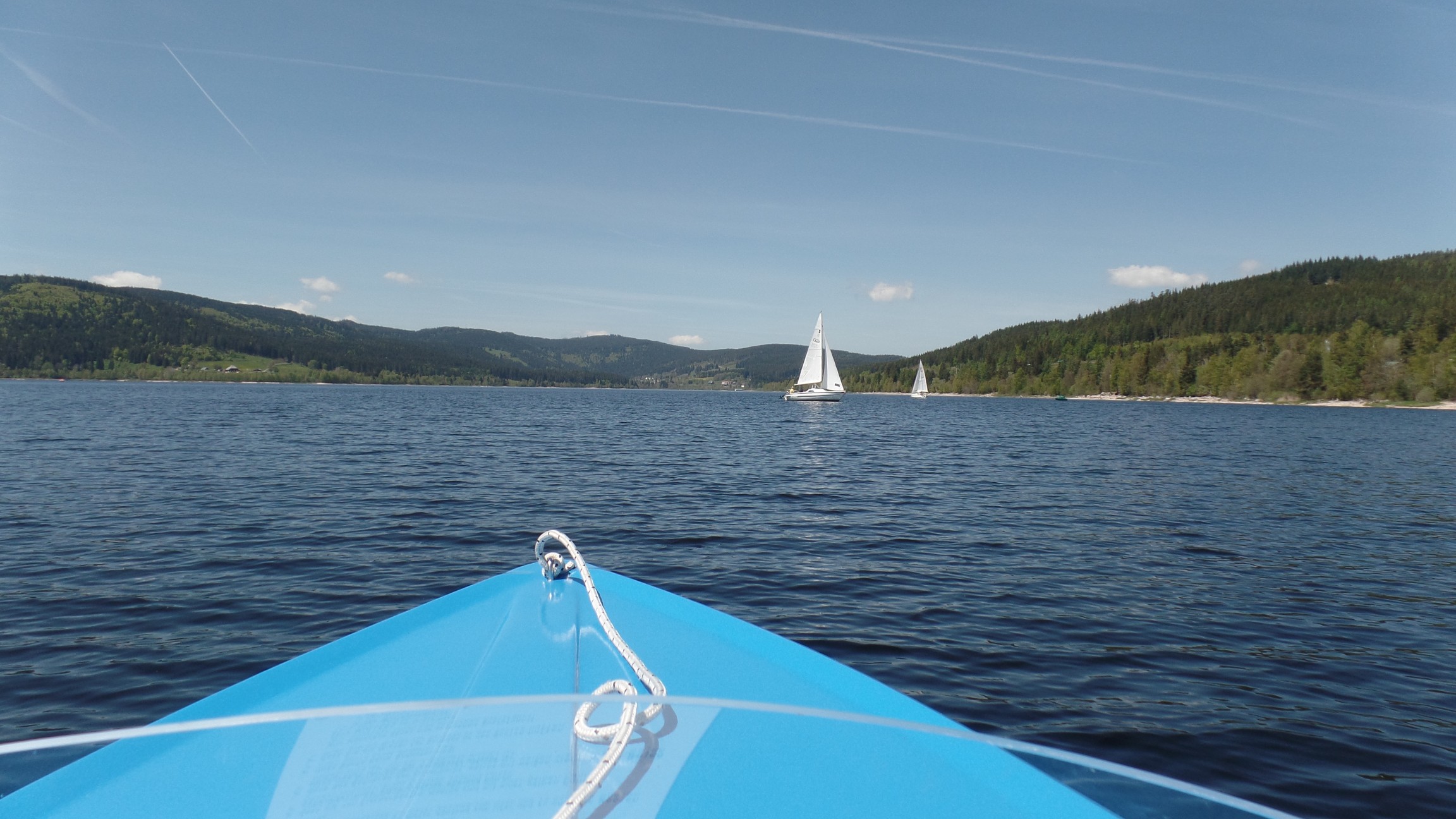 Black Forrest Connection