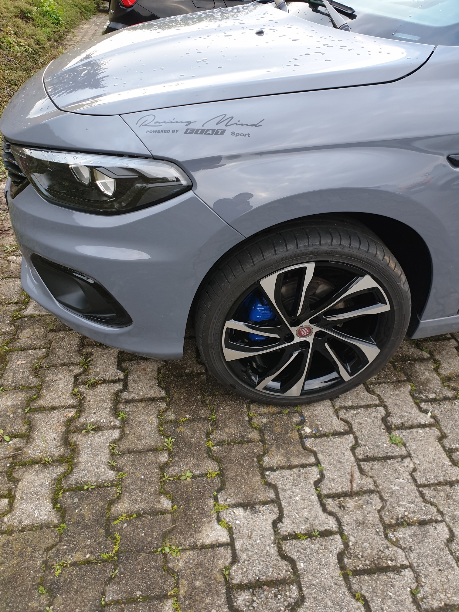 Schwarzarbeit im Schwarzwald