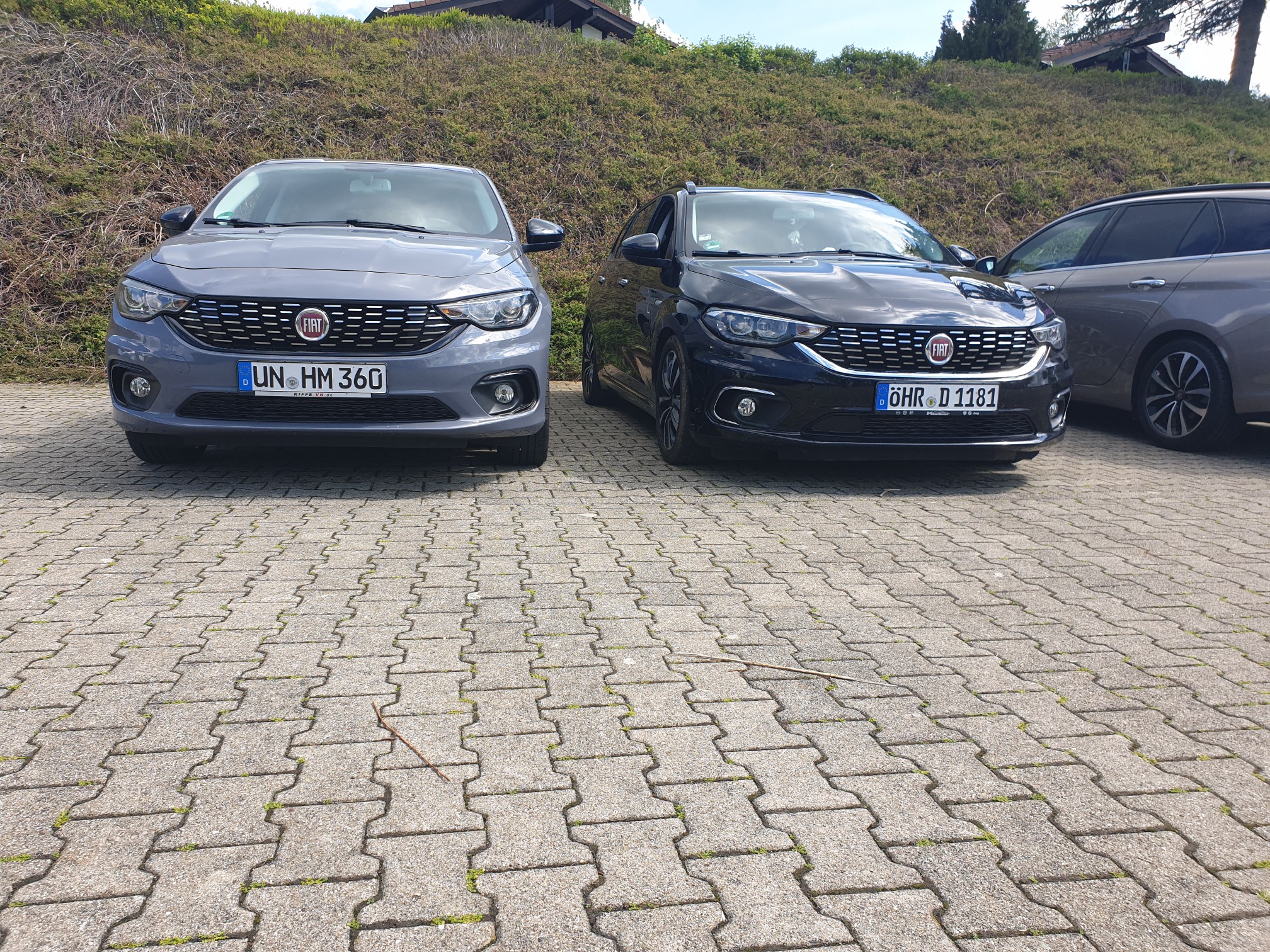 Schwarzarbeit im Schwarzwald