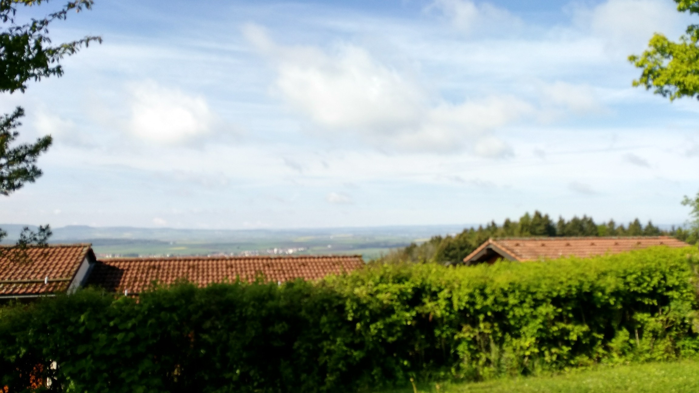 Privatarchiv der Black Forrest WG 2019