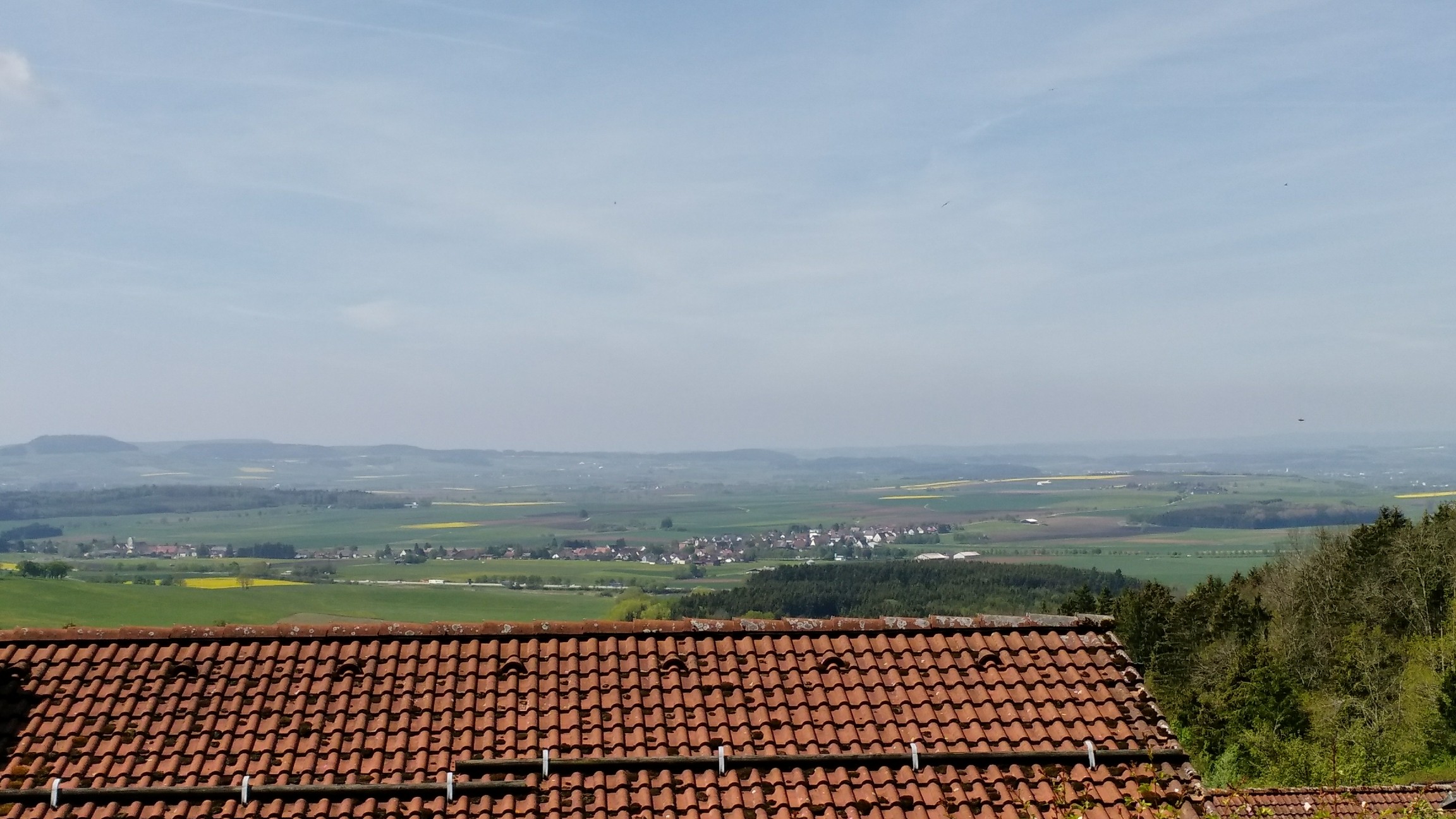 Privatarchiv der Black Forrest WG 2019