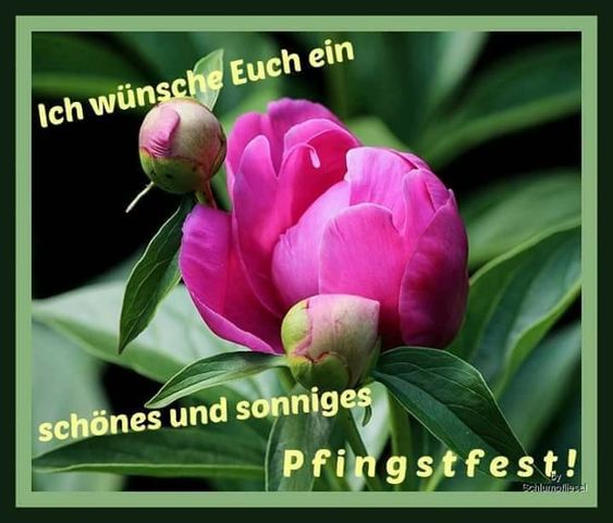 Pfingstgruß
