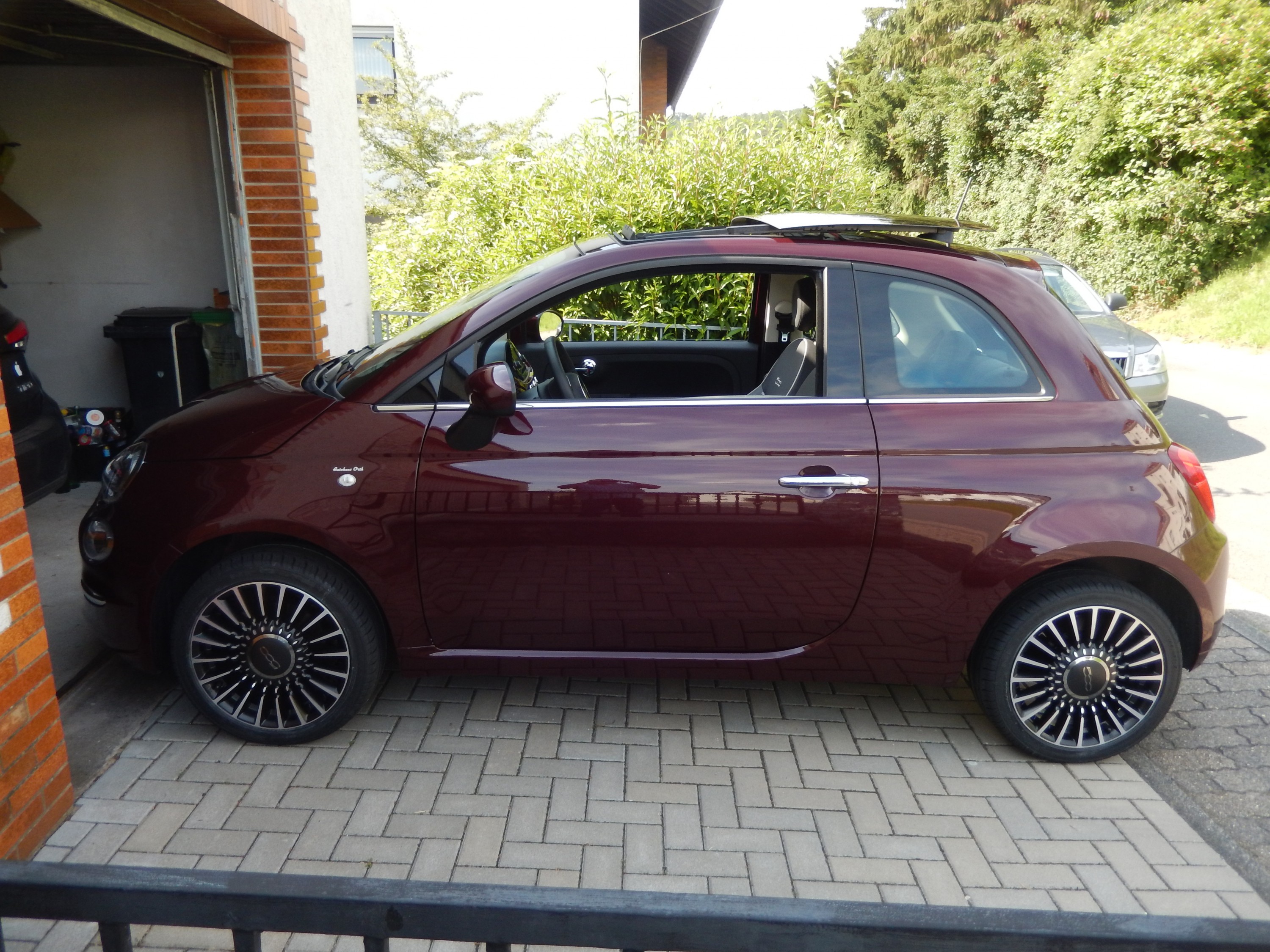 Es ist soweit, unser Amadeus ist da!