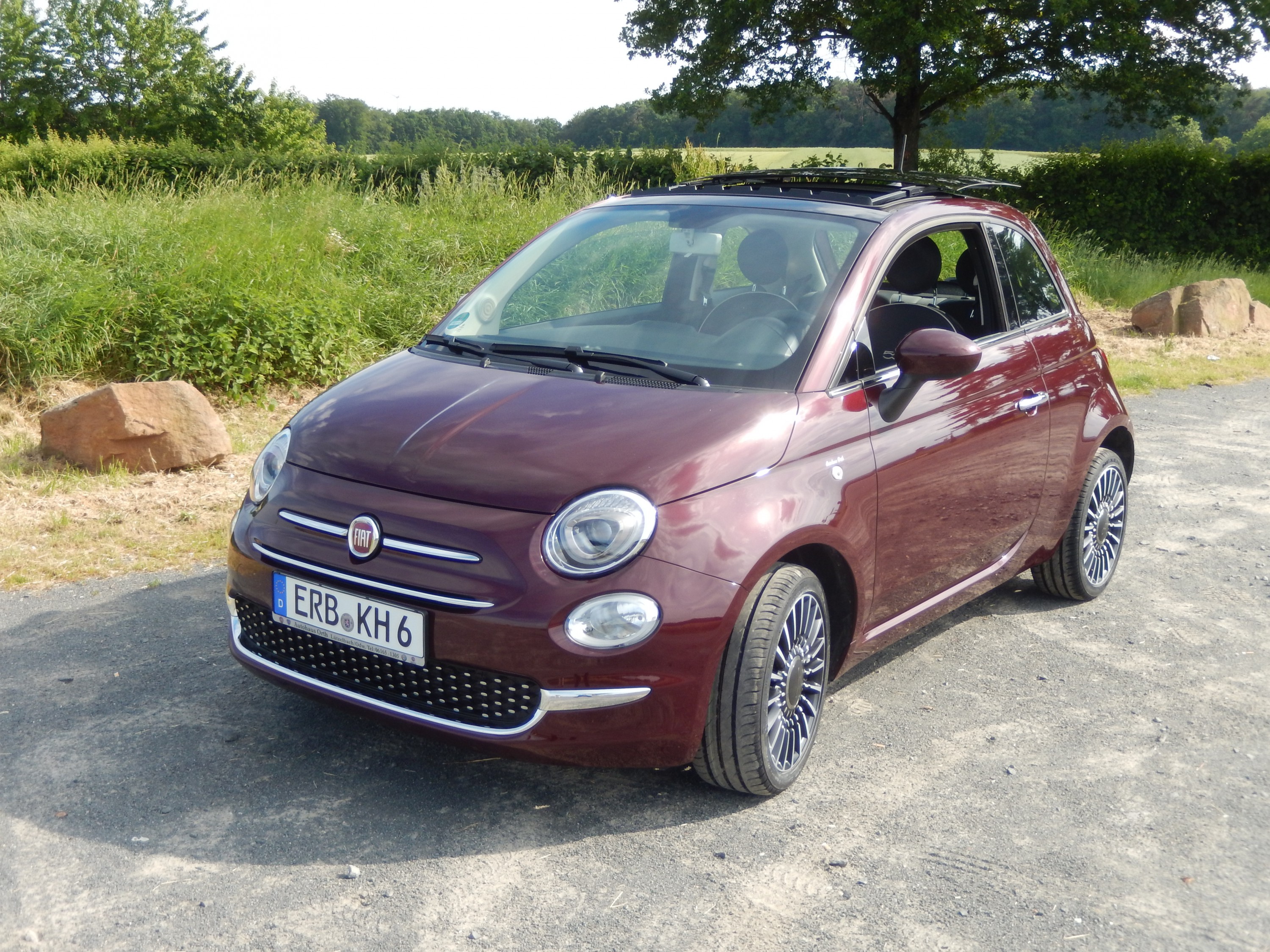 Es ist soweit, unser Amadeus ist da!