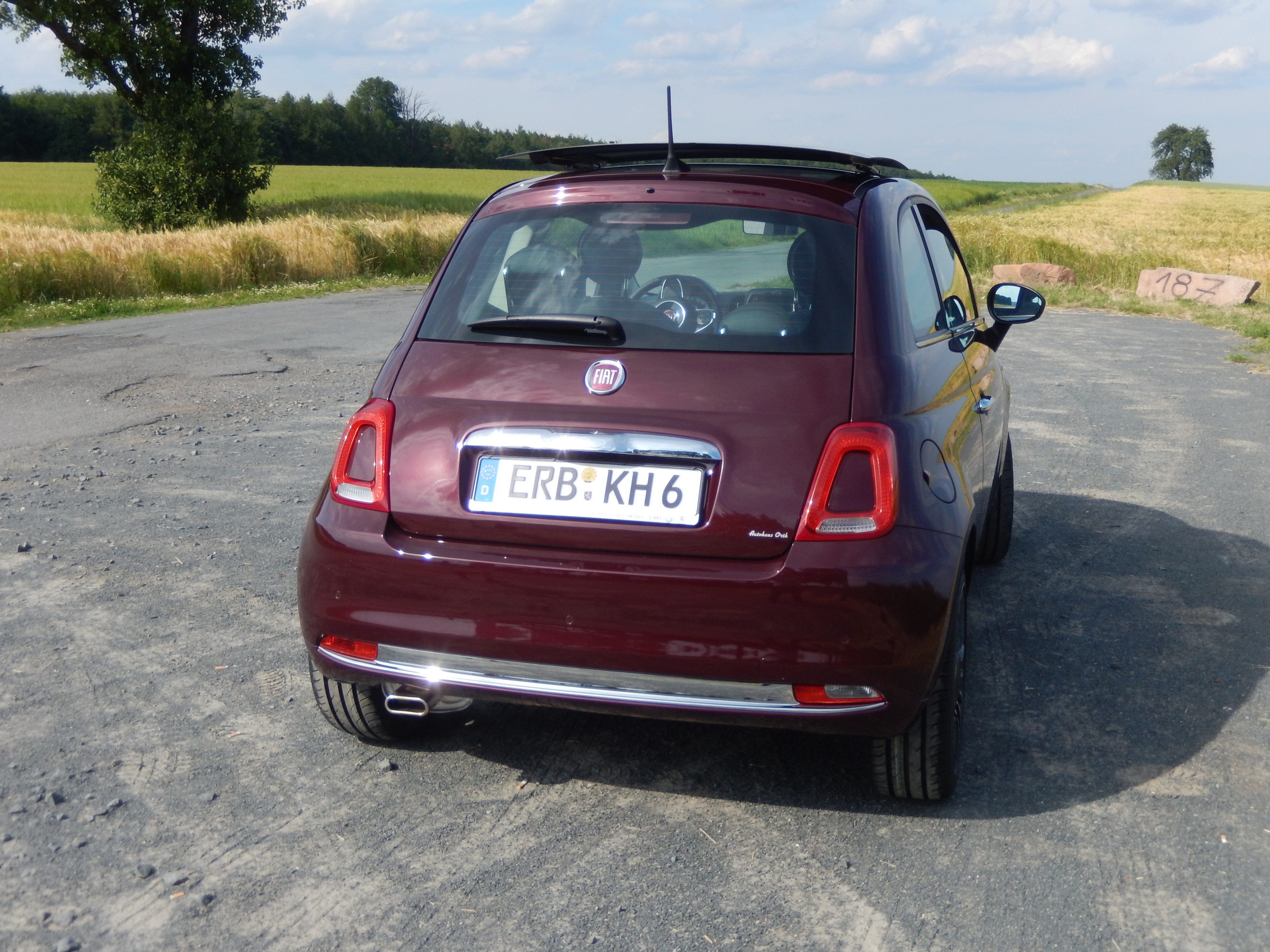 Es ist soweit, unser Amadeus ist da!