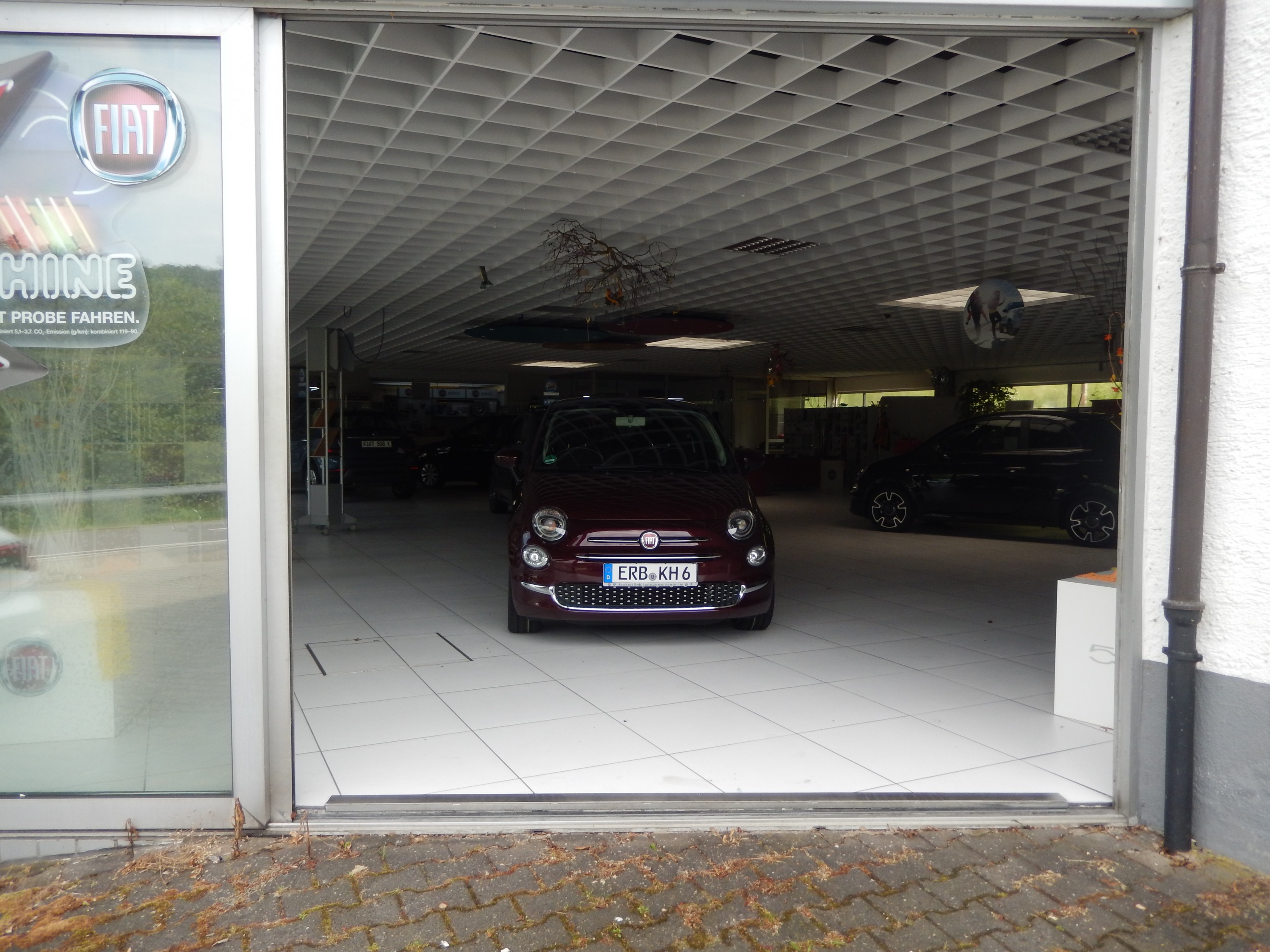 Es ist soweit, unser Amadeus ist da!