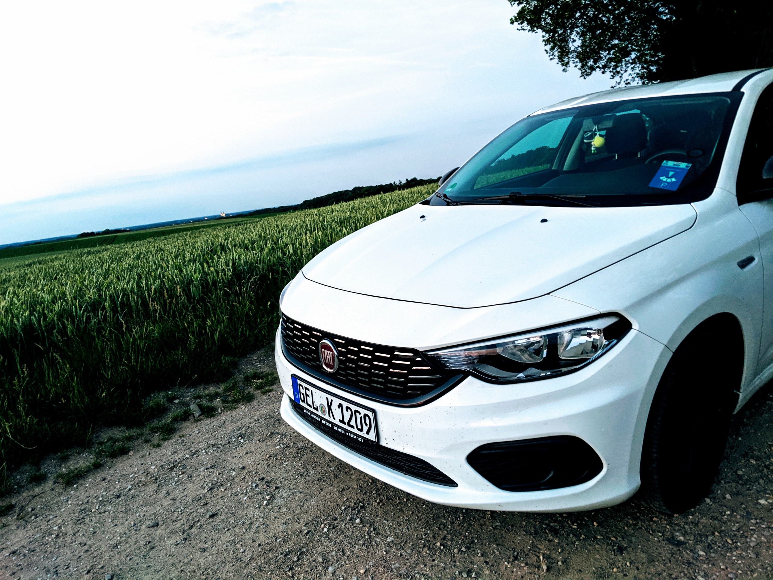 Ein schöner Abend mit Luigi