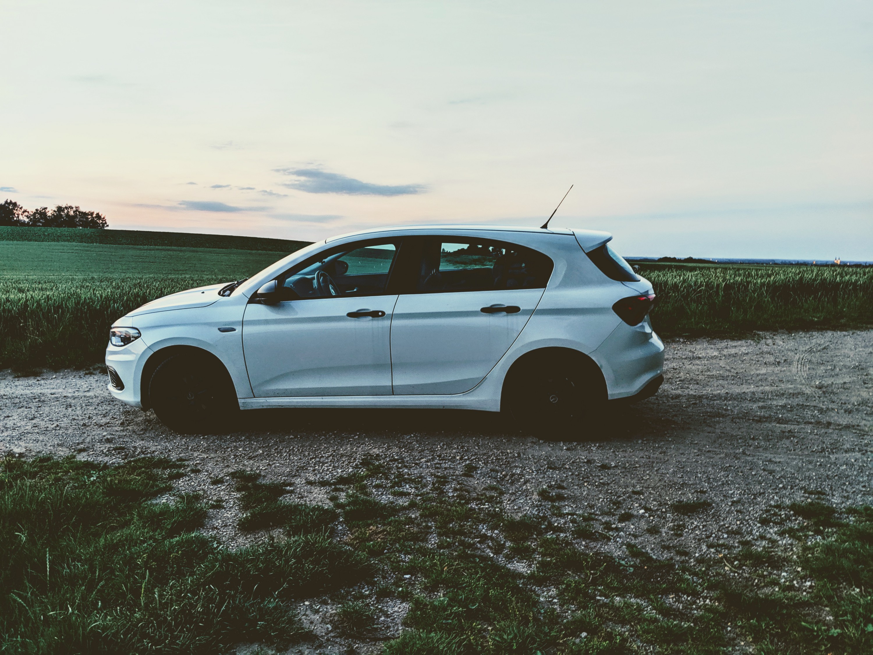 Ein schöner Abend mit Luigi