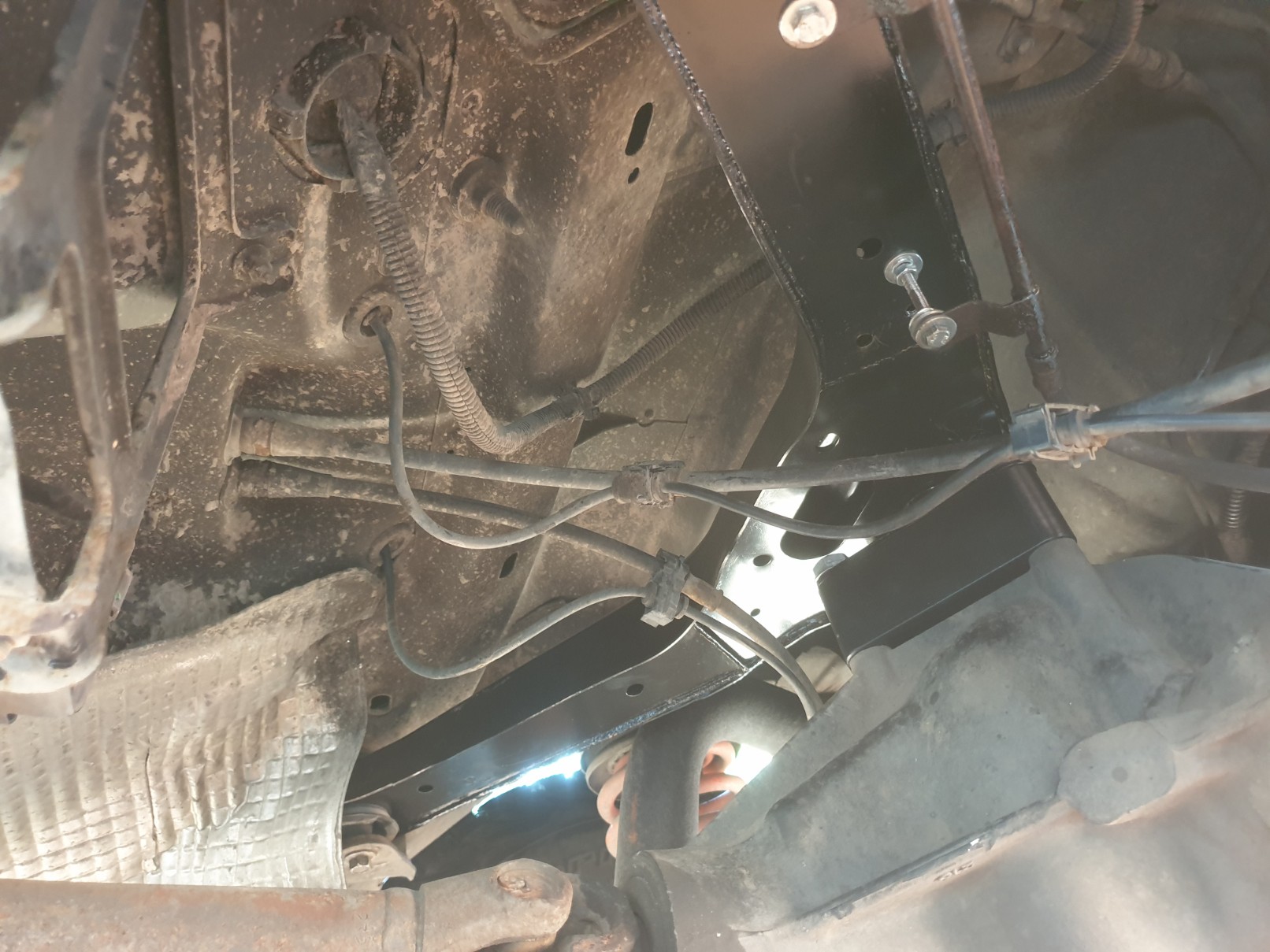 Heut ging es hier mal weiter