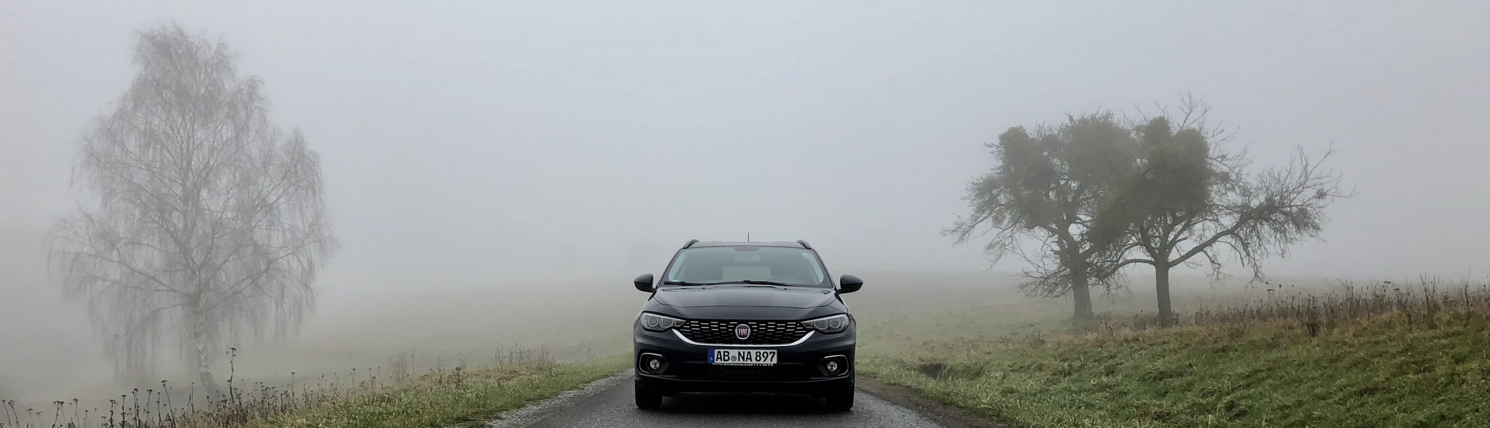 Das schöne im düsterem Nebel