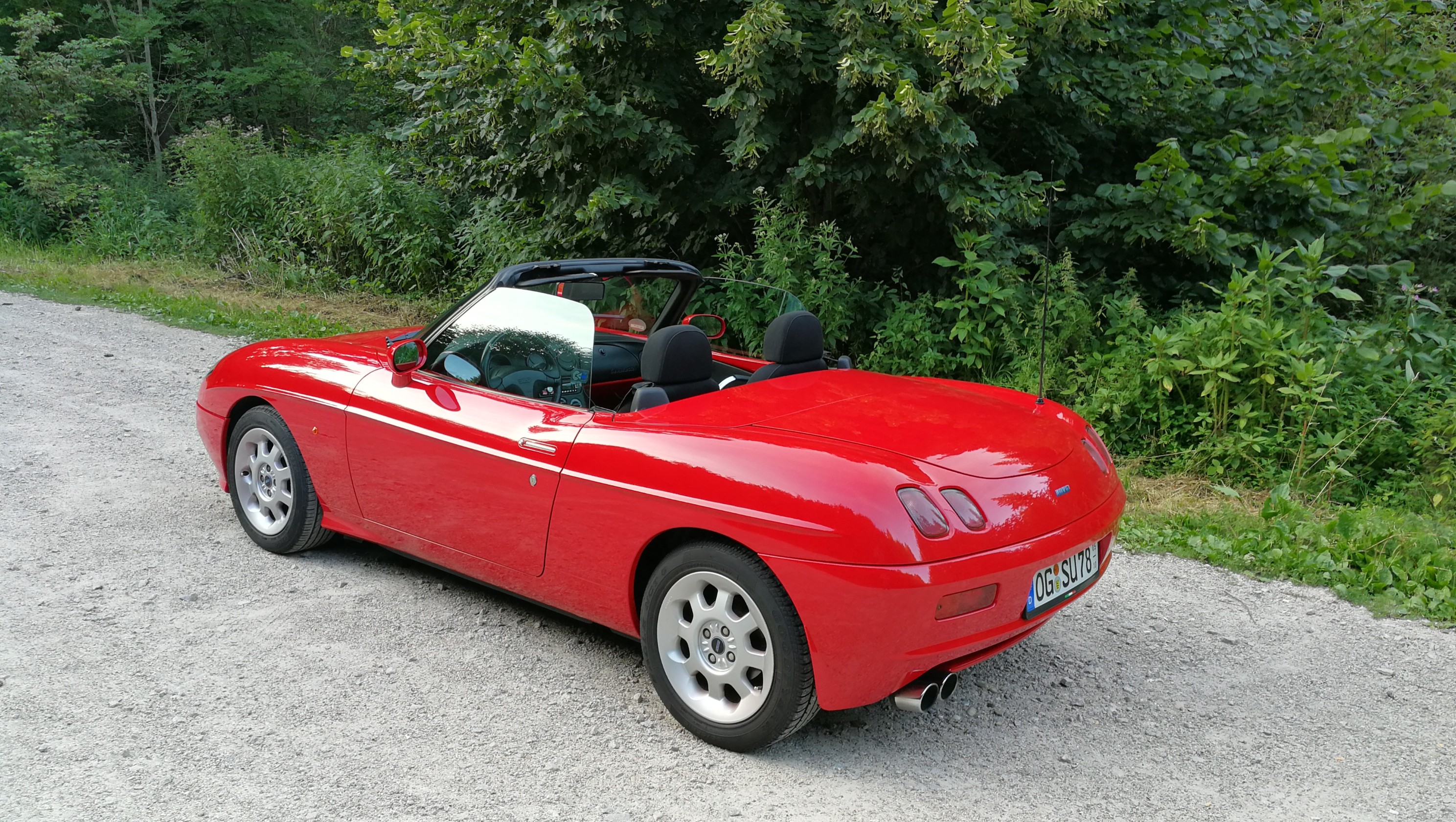 Die alte Dame in ihrem natürlichen Lebensraum