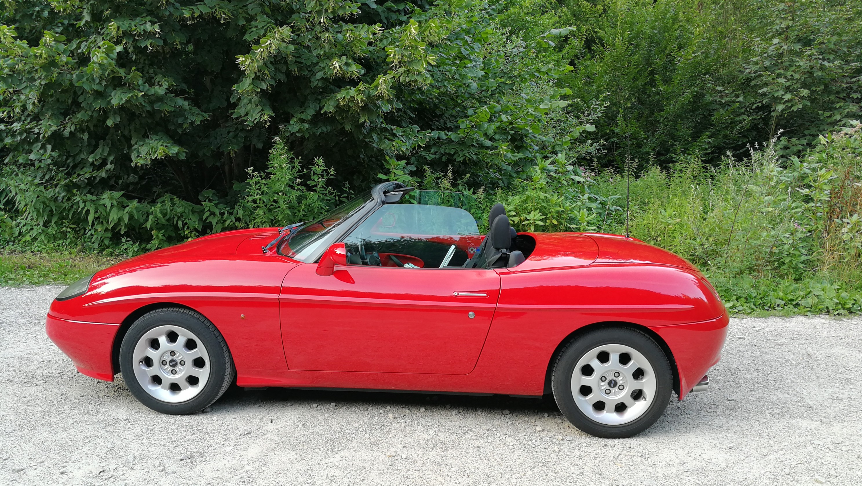 Die alte Dame in ihrem natürlichen Lebensraum