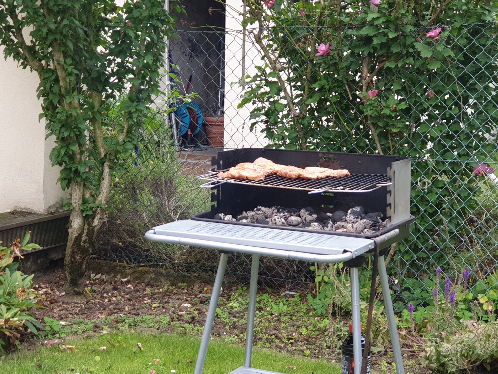 Tipo - Treffen Neuss 1.0