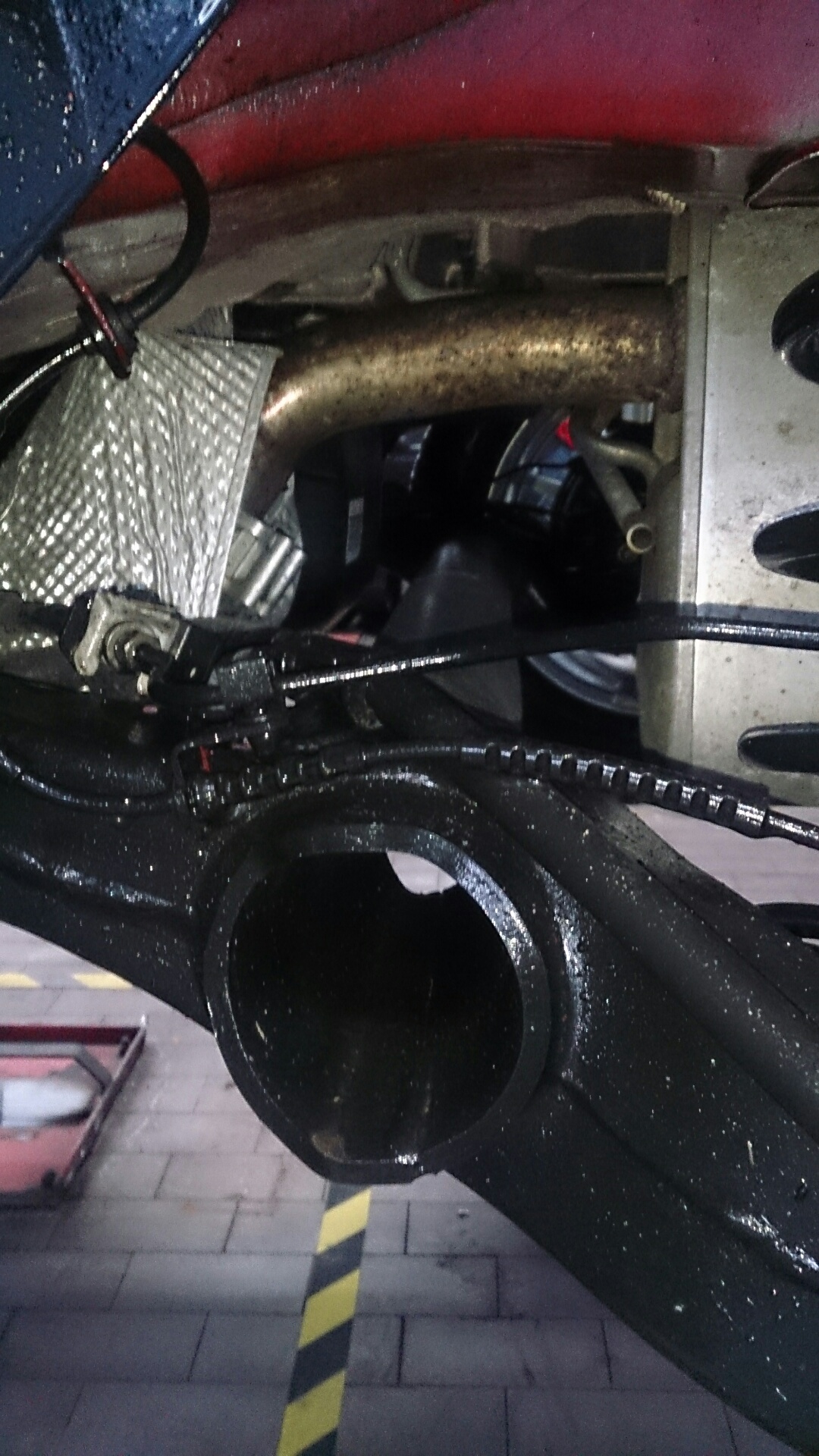 Tipo - noch mehr von unten