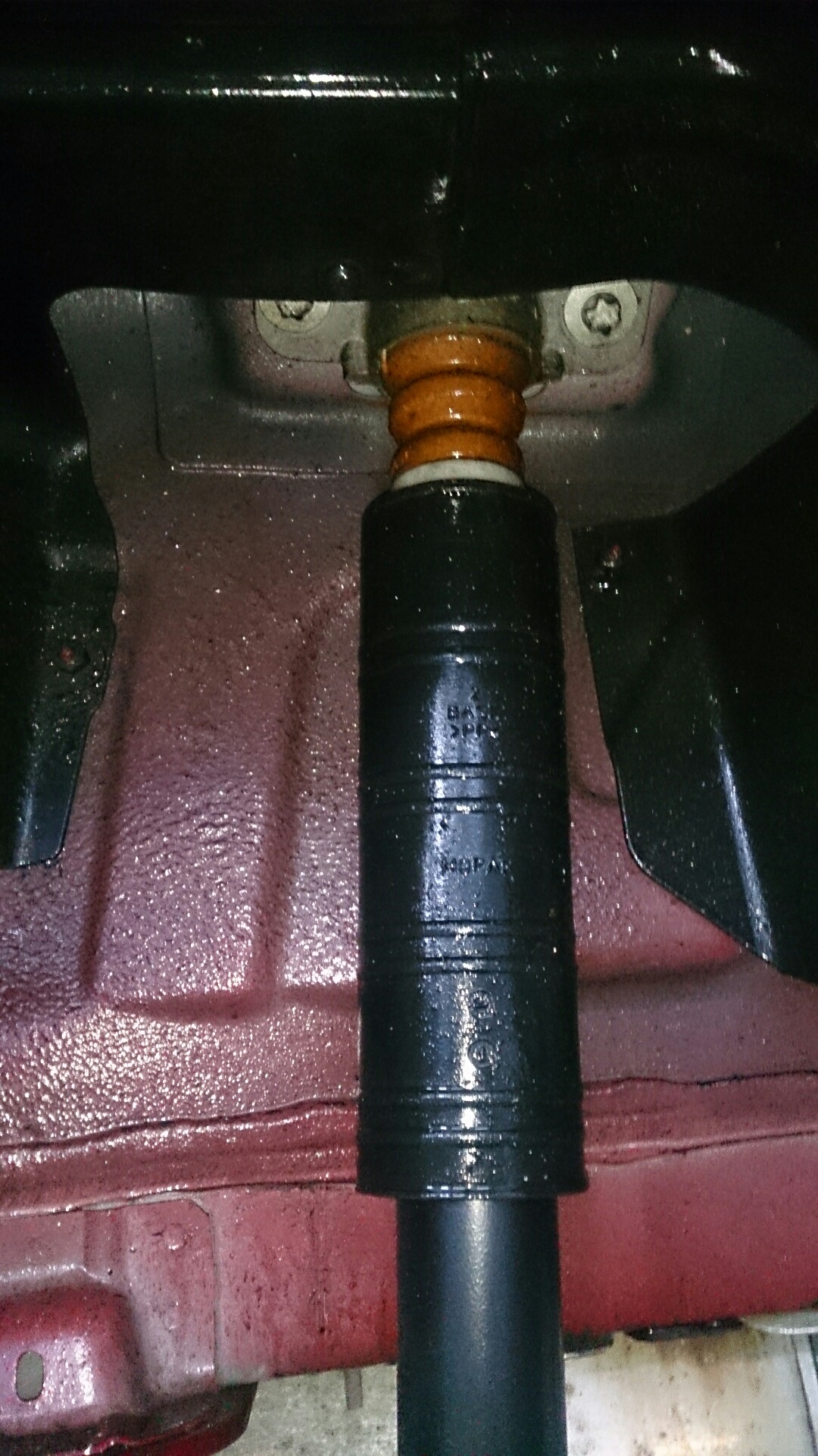 Tipo - noch mehr von unten