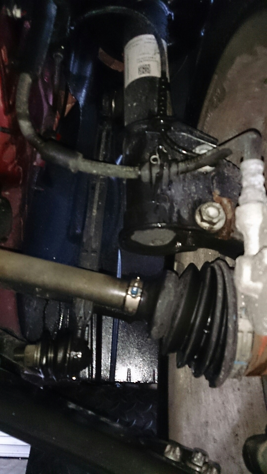 Tipo - noch mehr von unten