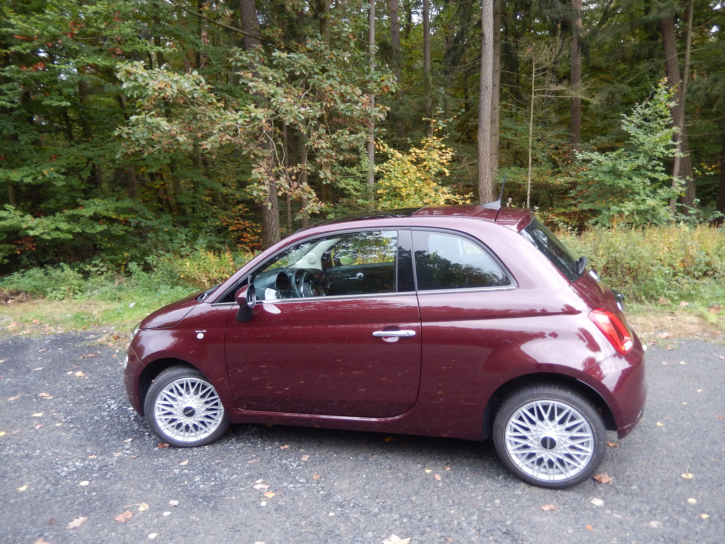 Amadeus' neue Schuhe