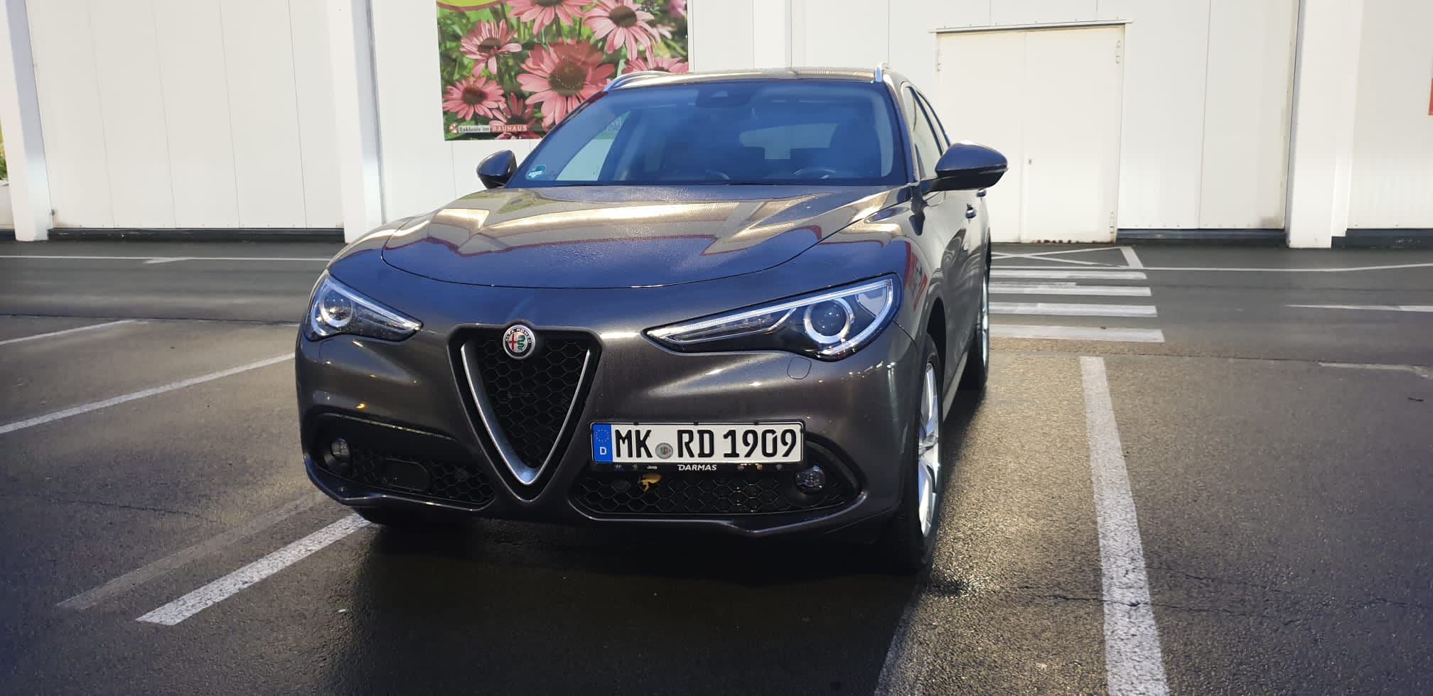 Alfa Romeo Stelvio Super 2.2 L 210 PS Neues Familien Mitglied