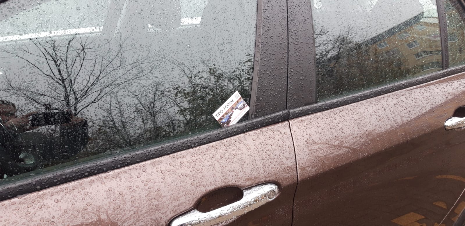 Tipo gesehen, Karte gesteckt