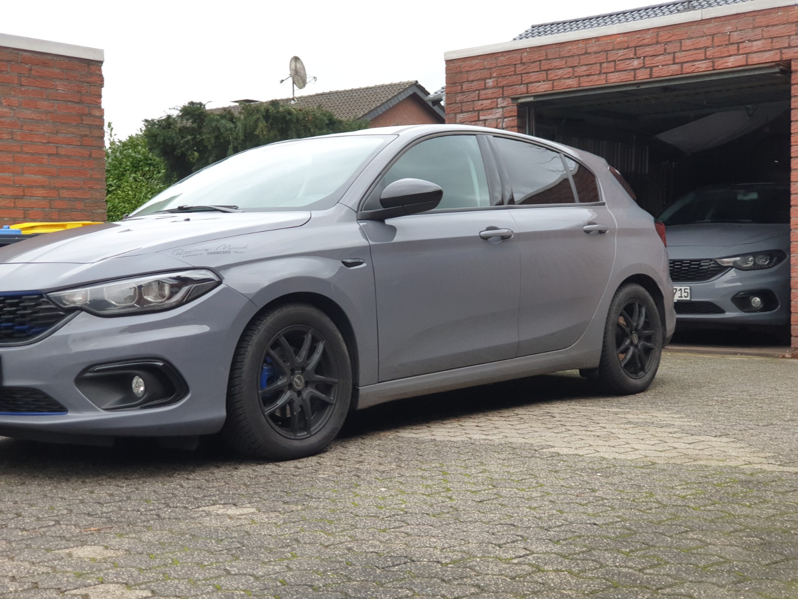 Hier muss ein Nest sein, haben Nachwuchs bekommen...