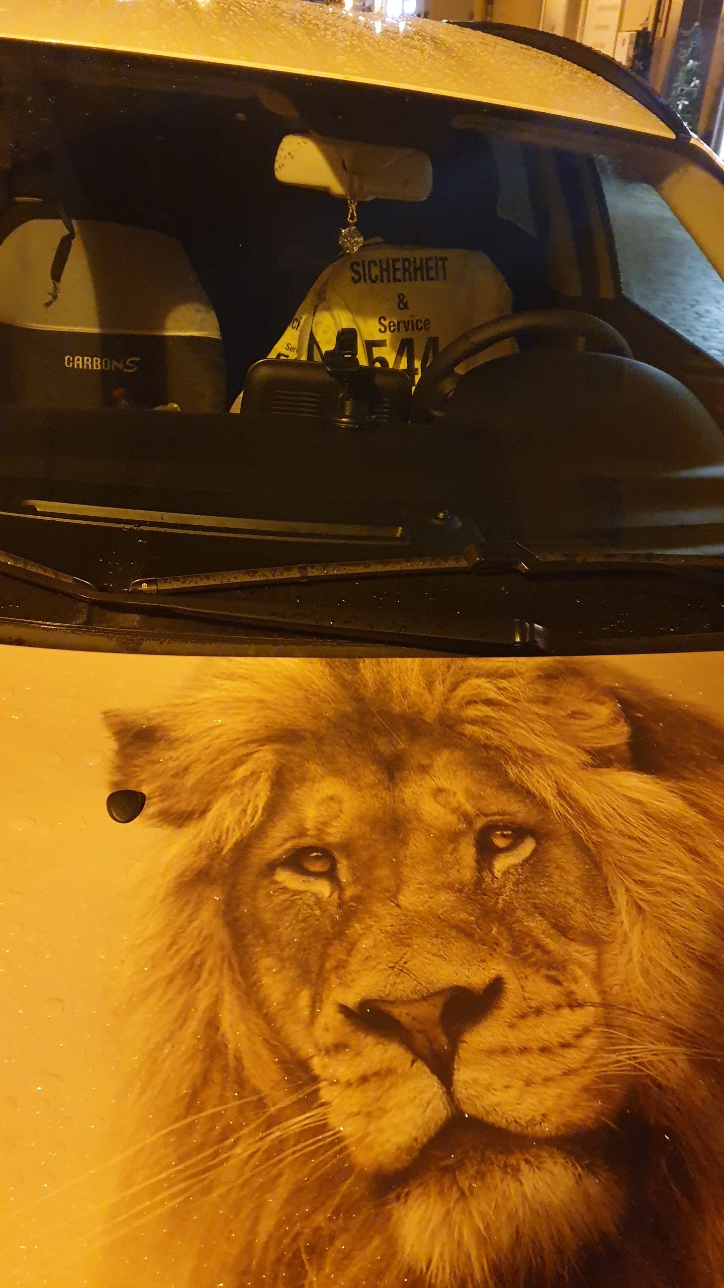 Odins erster Einsatz