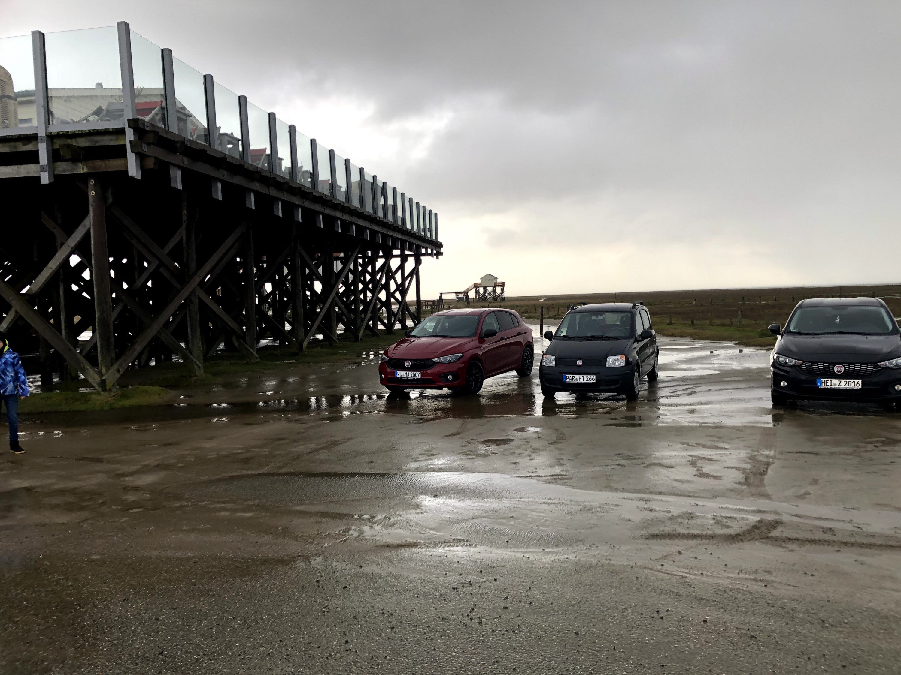 Tipos und Panda verstehen sich