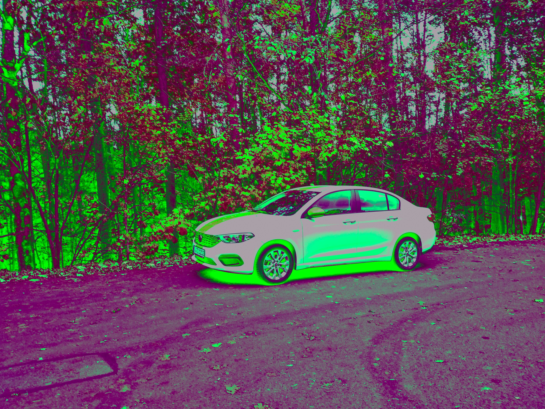 Mein Tipo zu Gast in Tschernobyl