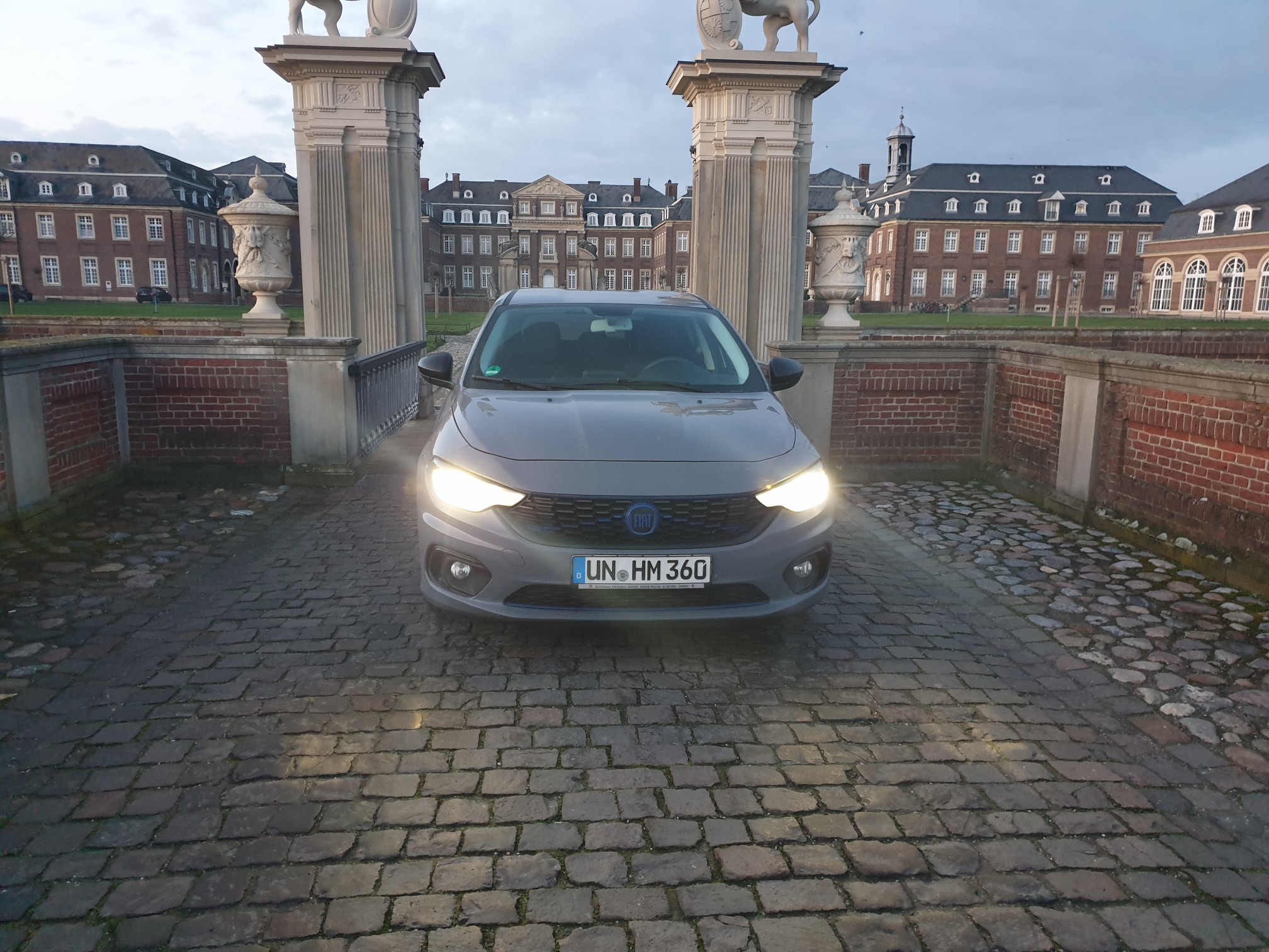 Der Königliche Tipo hält Einzug ...