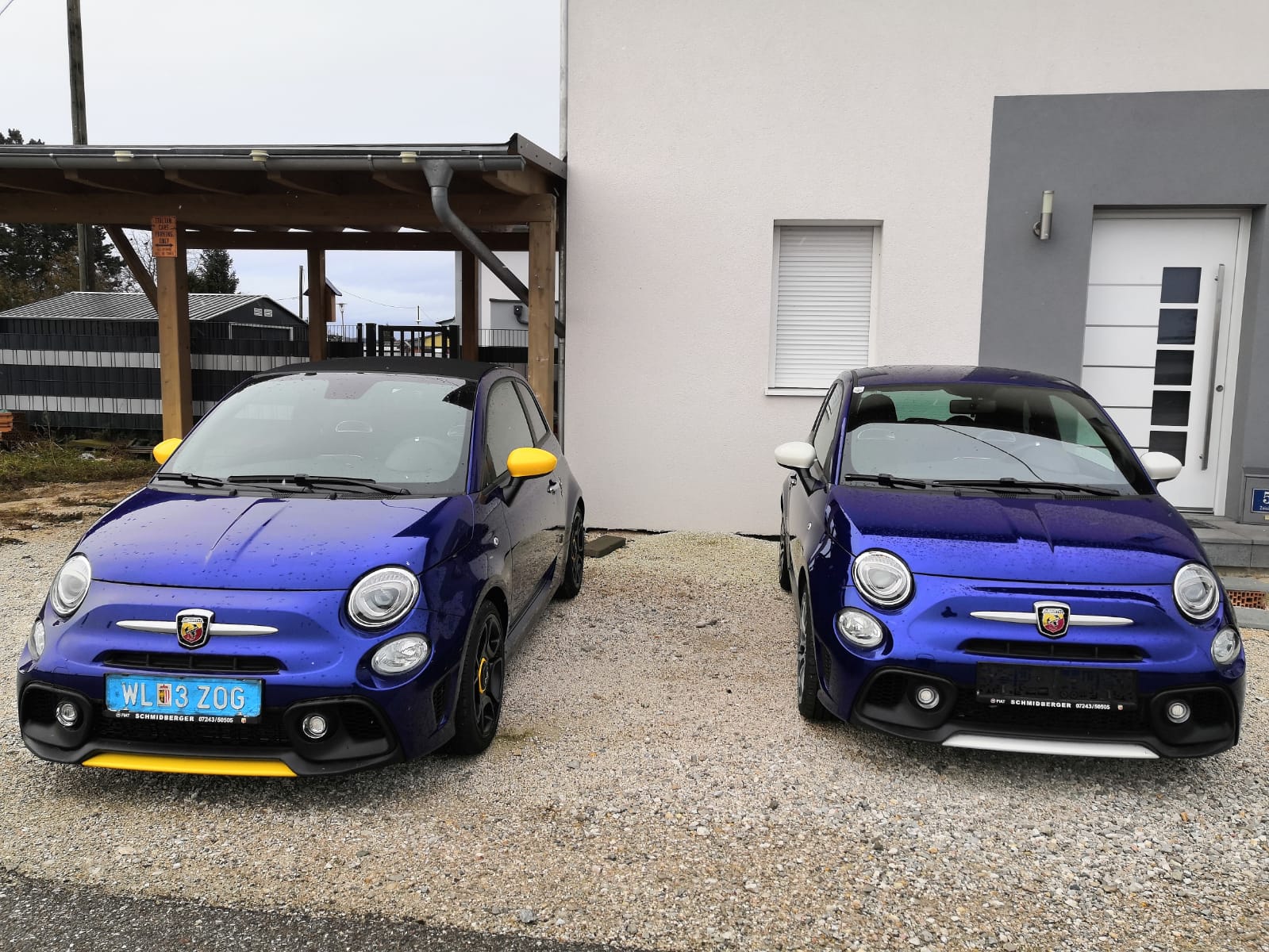 Zweieiige Zwillinge?