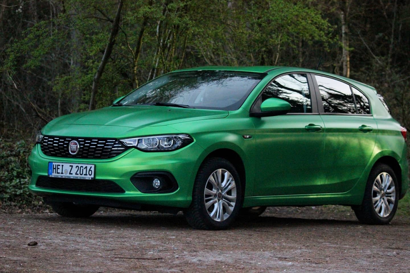 Auf Tour mit dem Grünen