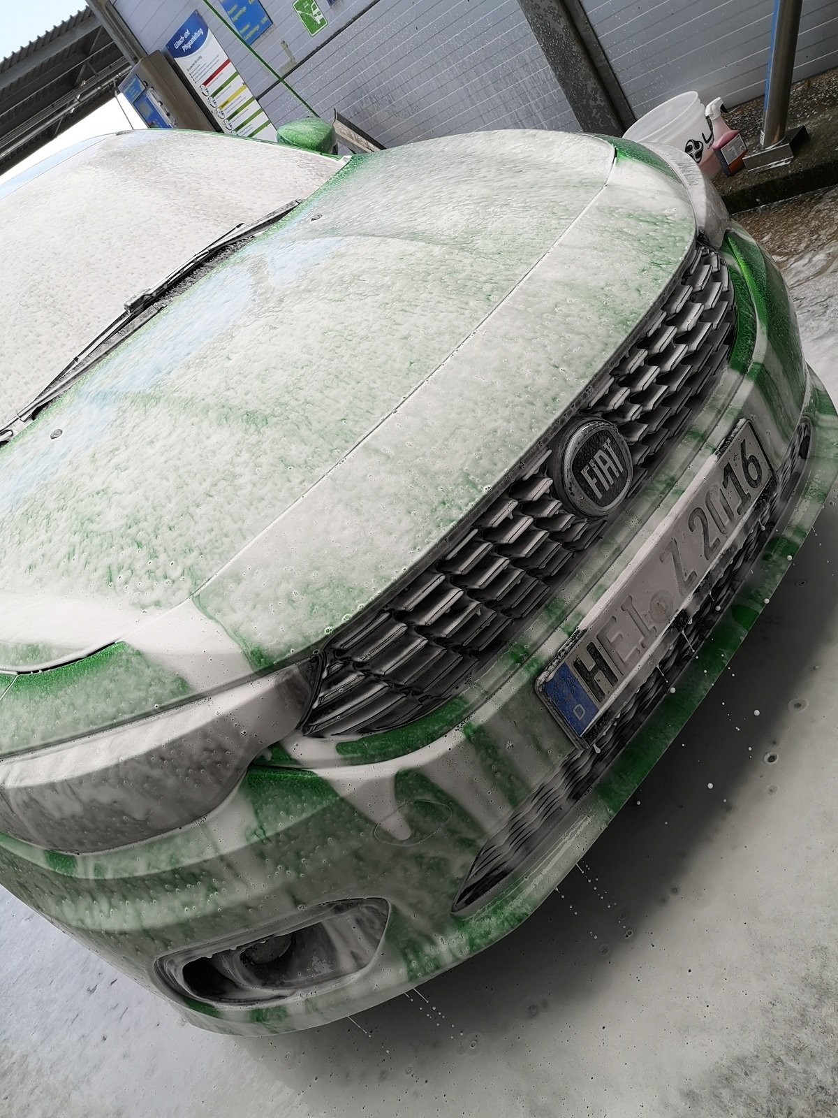 Erste Wäsche für Grünspan Tipo