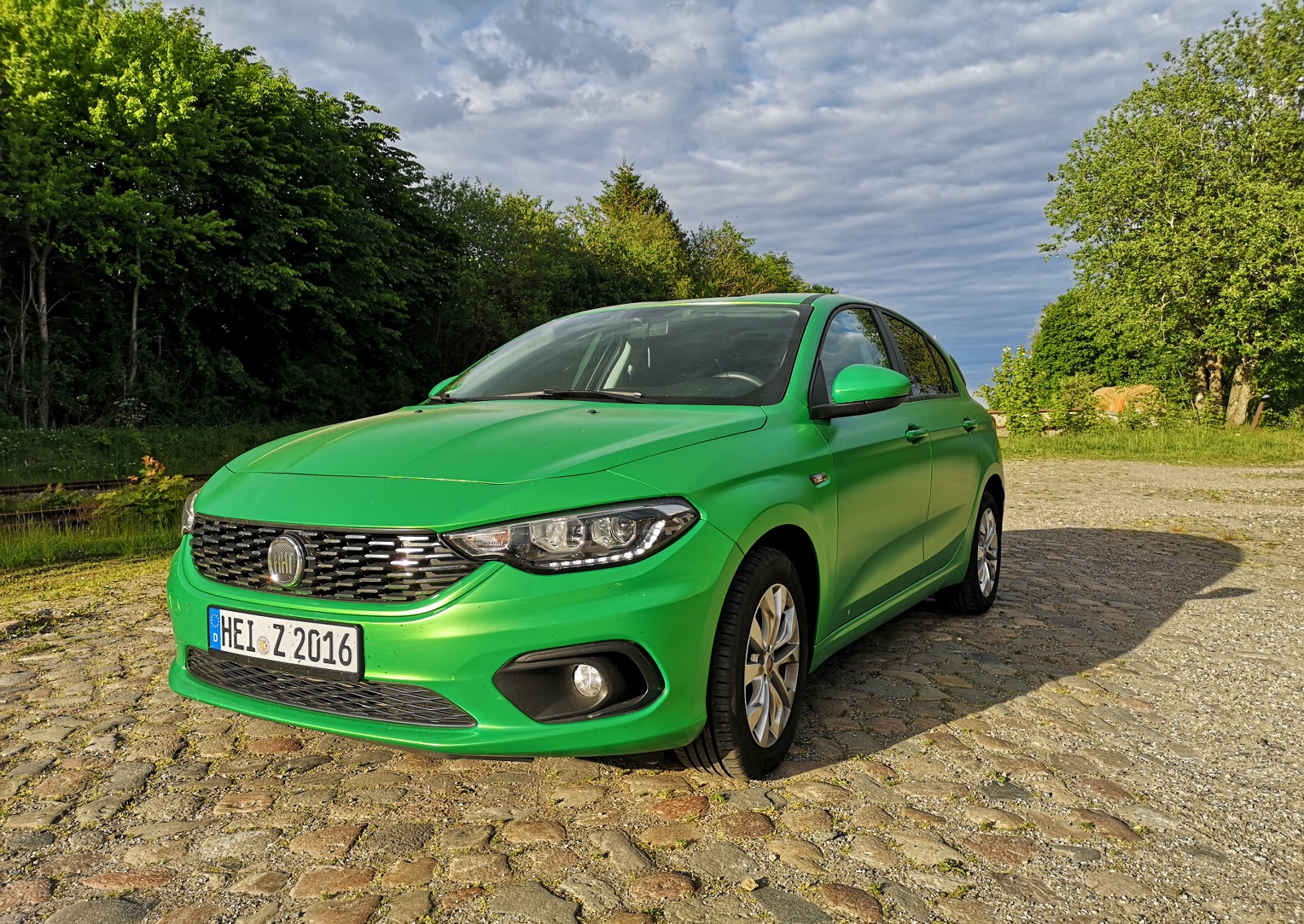 Der wunderschöne Grünspan Tipo