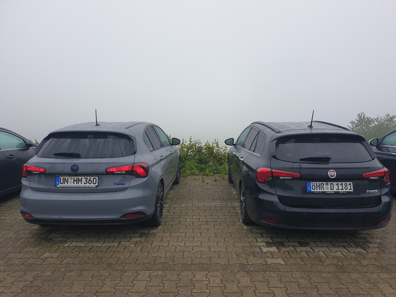 Francis & Wade halten Ausschau nach gutem Wetter