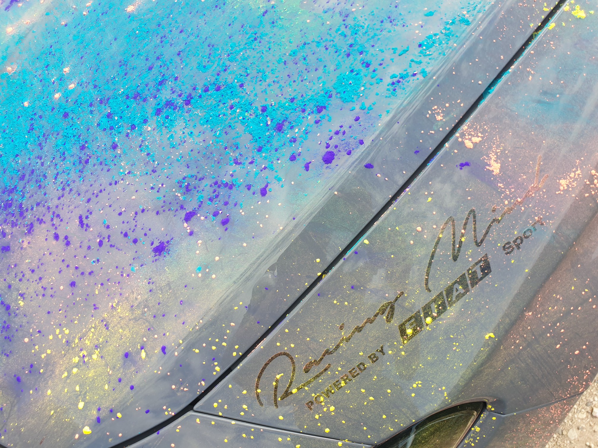 Schwarzwald wird bunter