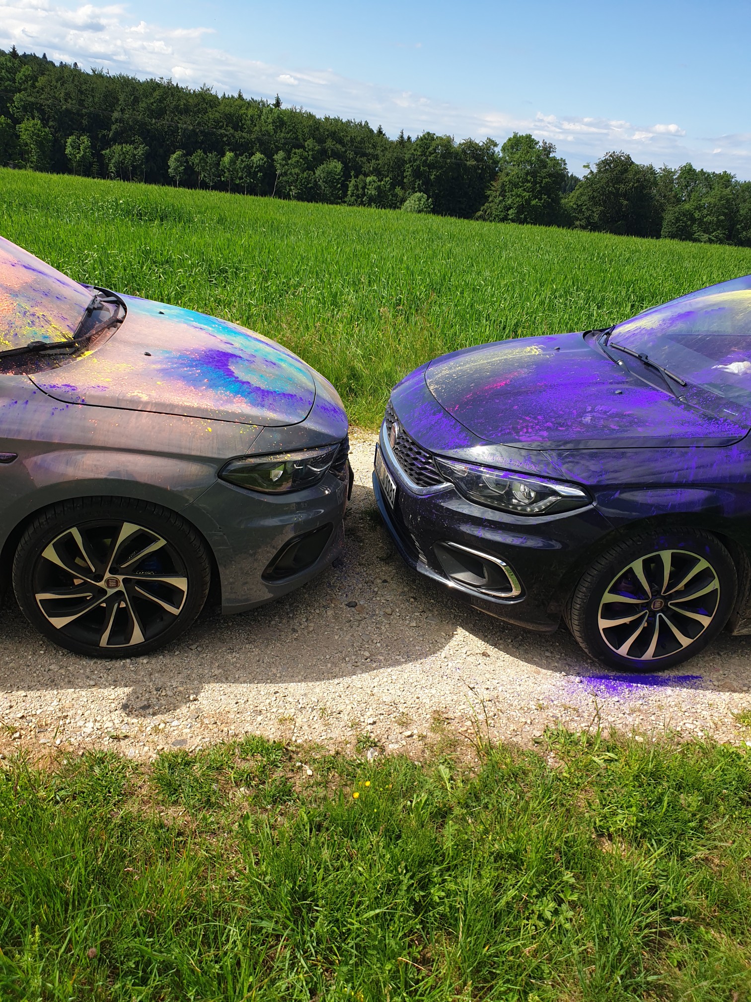 Schwarzwald wird bunter