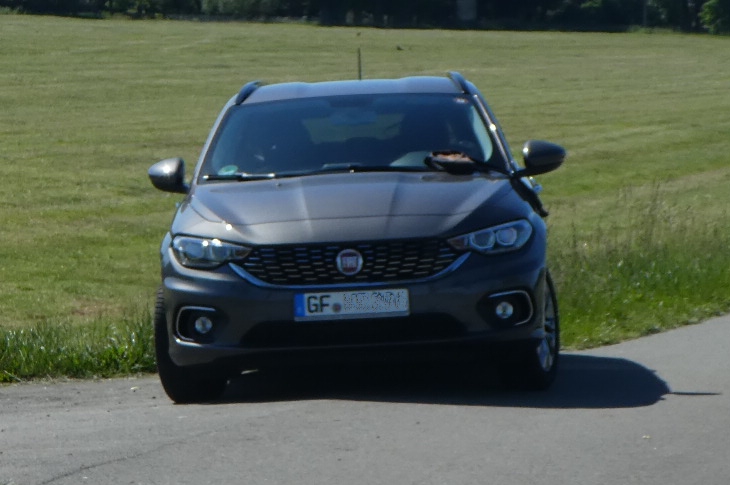 Mein Tipo an der Elbe