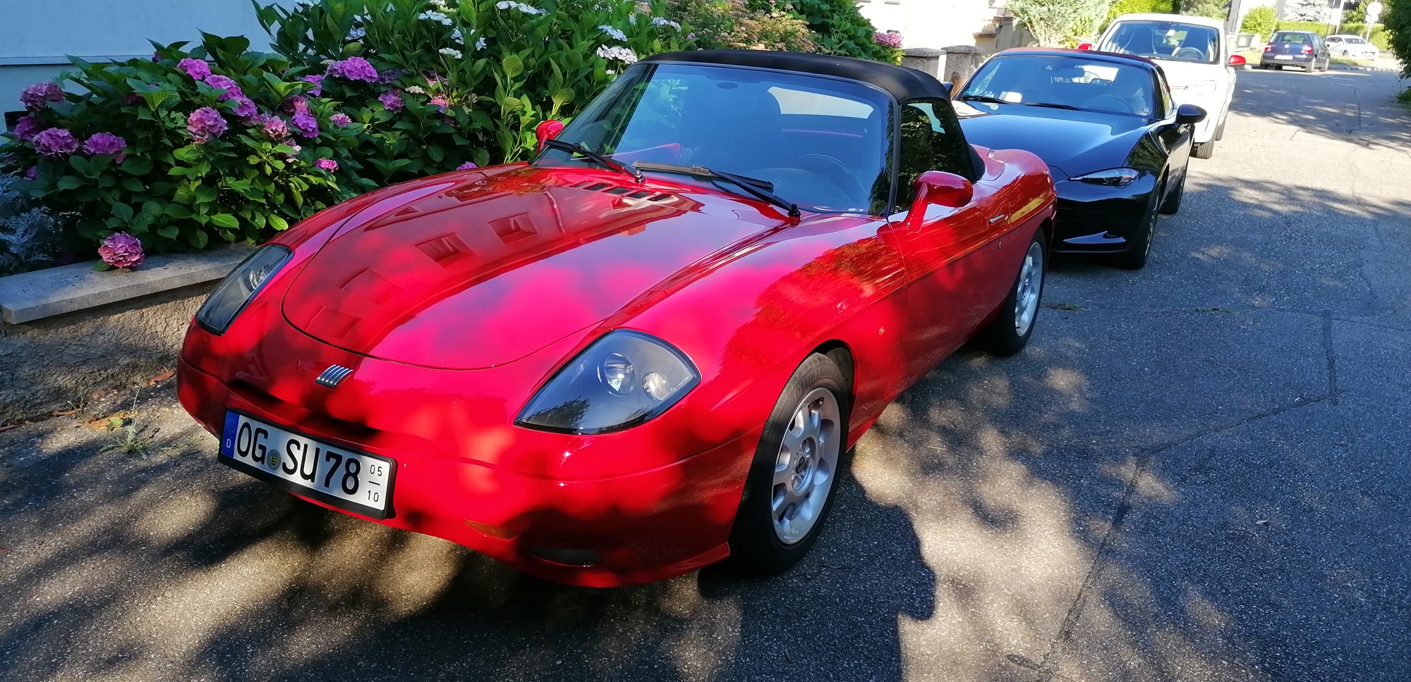 Die alte Dame im Morgenlicht.