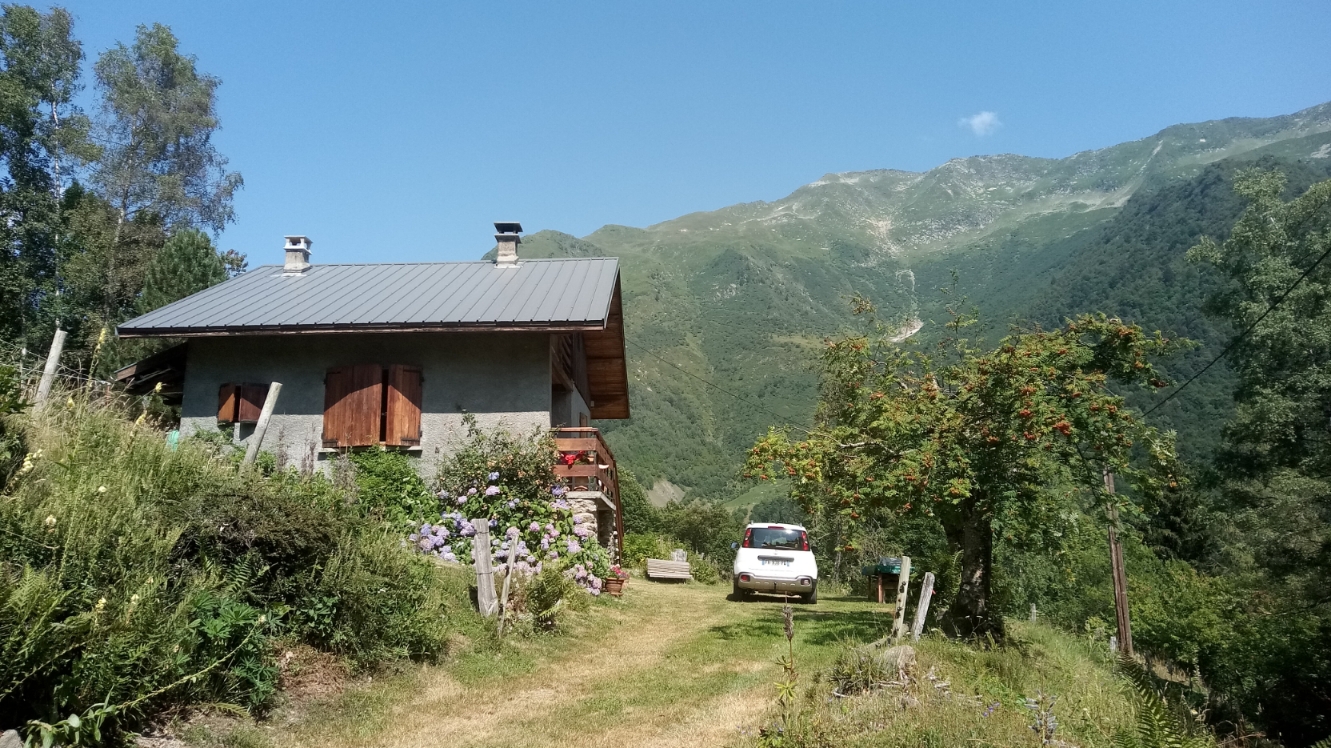 Panda, die Bergziege.