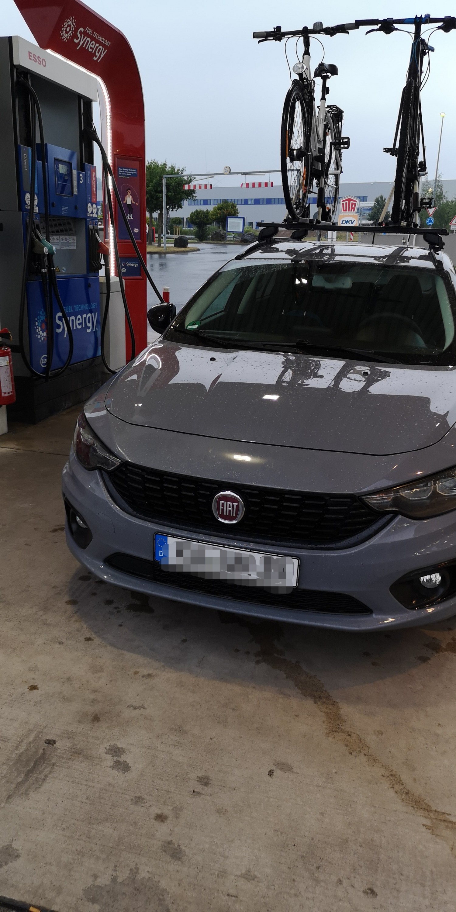 Tipo auf dem Weg zur Ostsee in seiner liebsten Umgebung :D