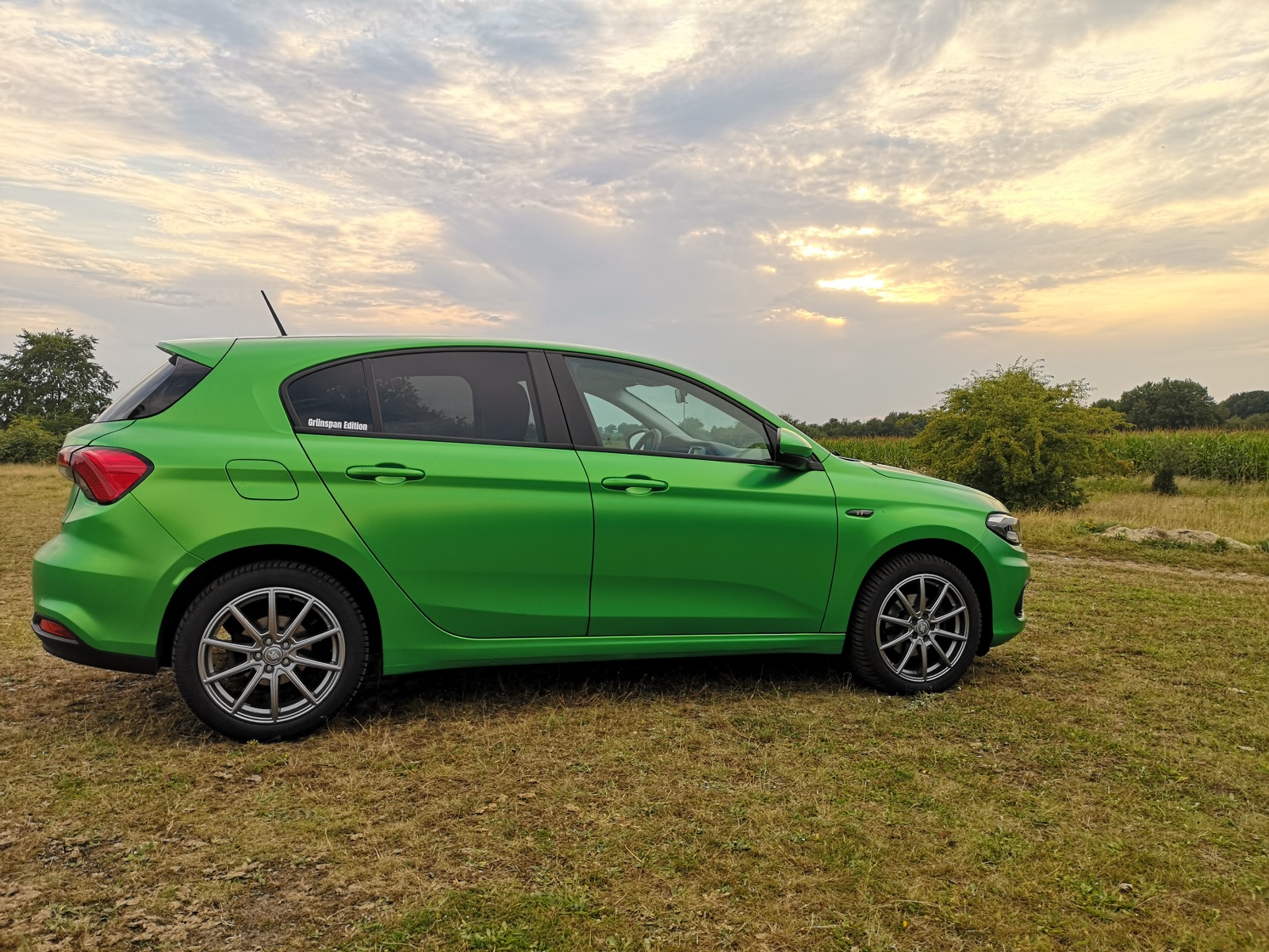 Tipo in der Abendsonne