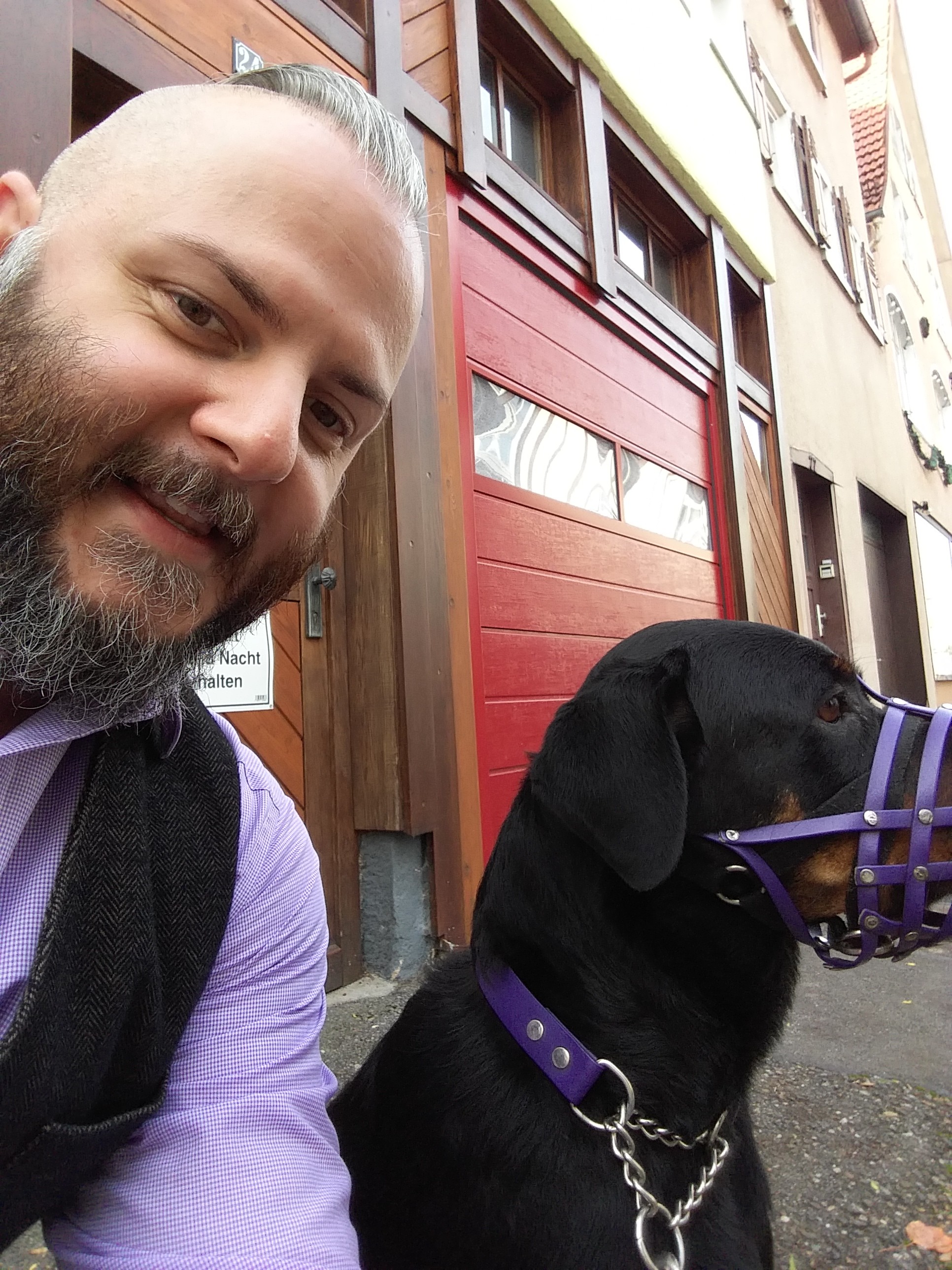 Im Kombi hat Betty jetzt deutlich mehr Platz!!