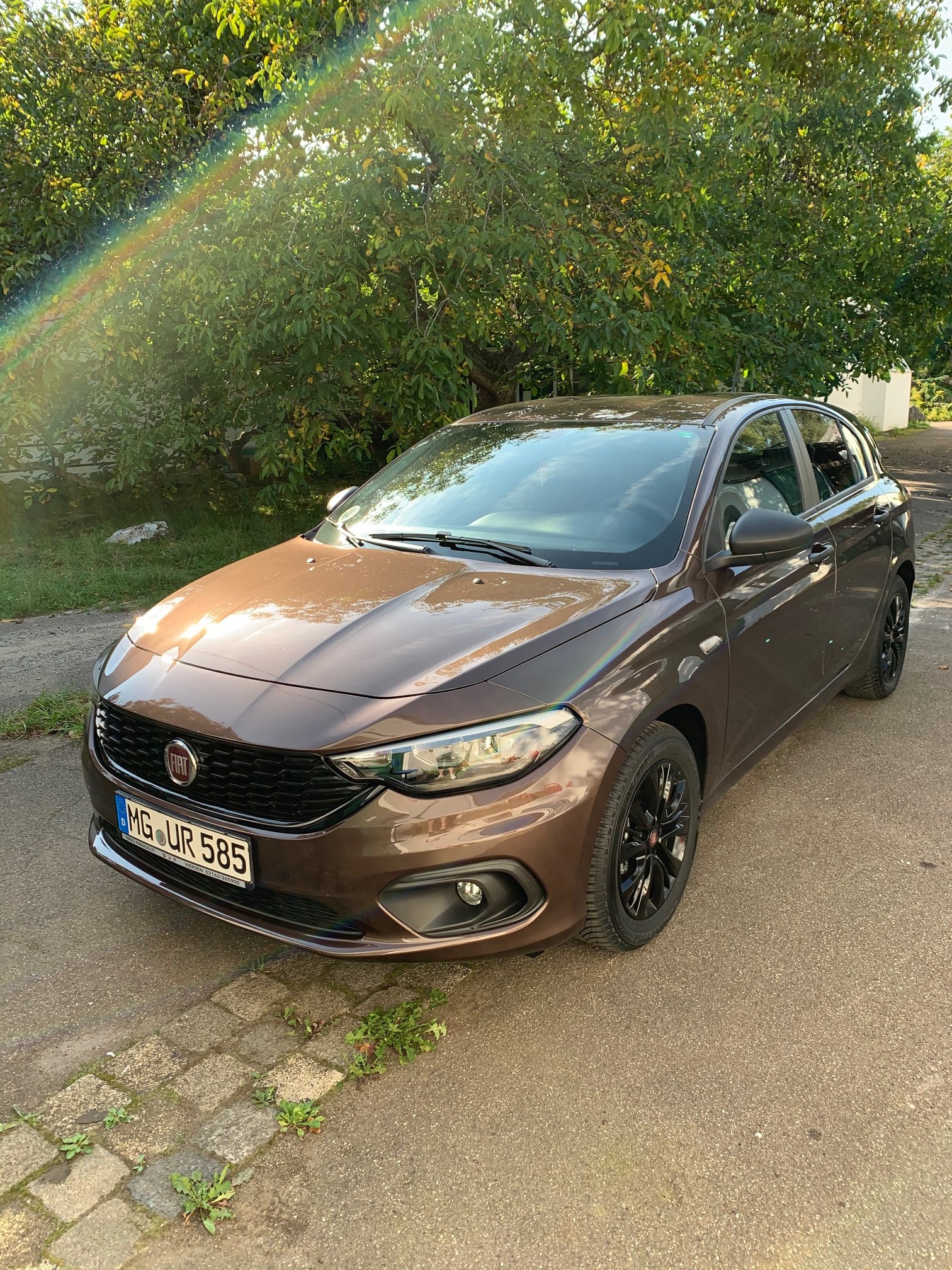 Luigi vor dem pimpen...