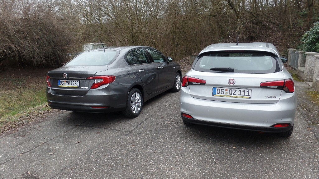 Spielkamerad für meinen Tipo