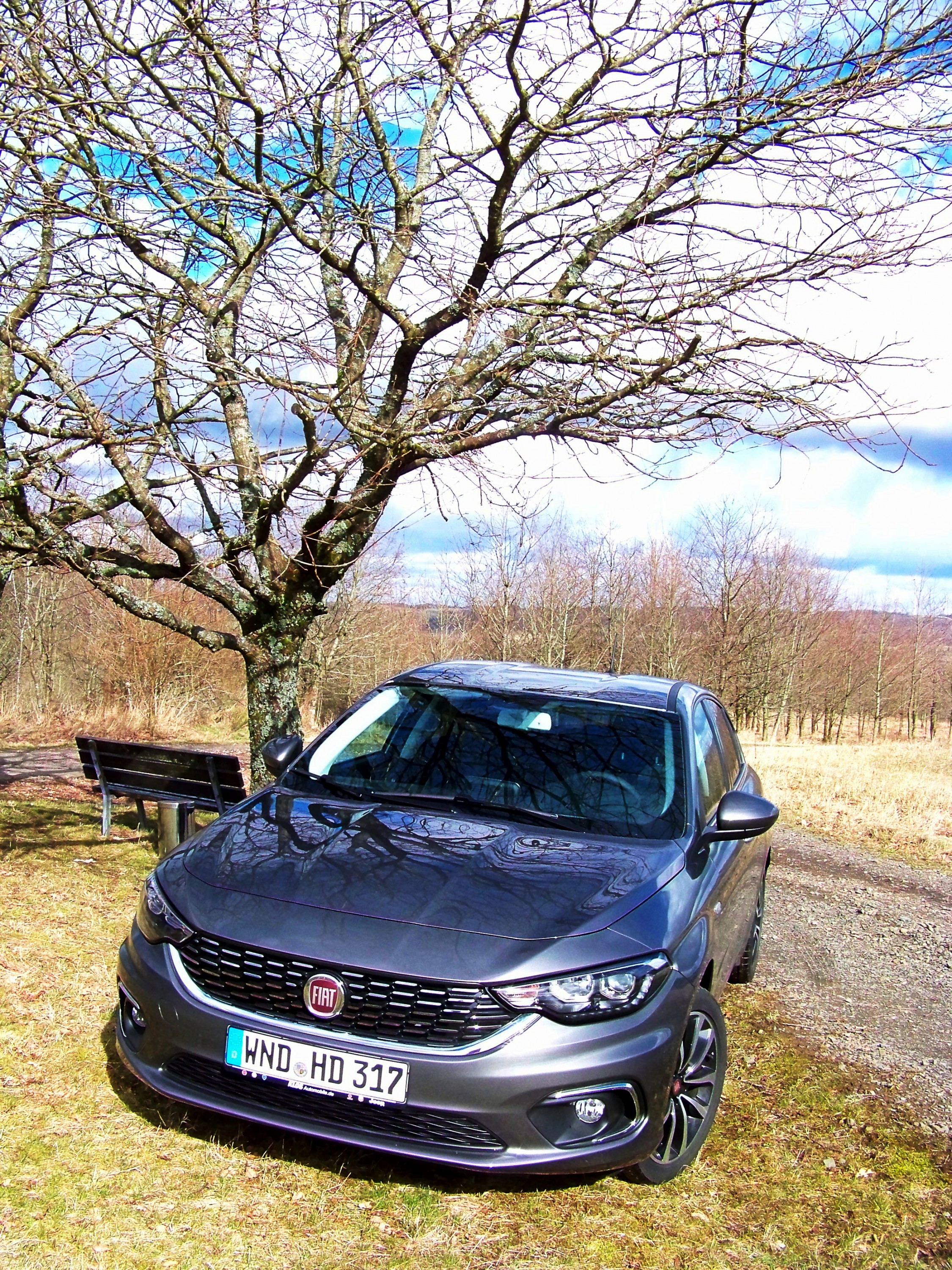 Warten auf den Frühling - mal bunt, mal grau - mit dem Tipo aber niemals langweilig.