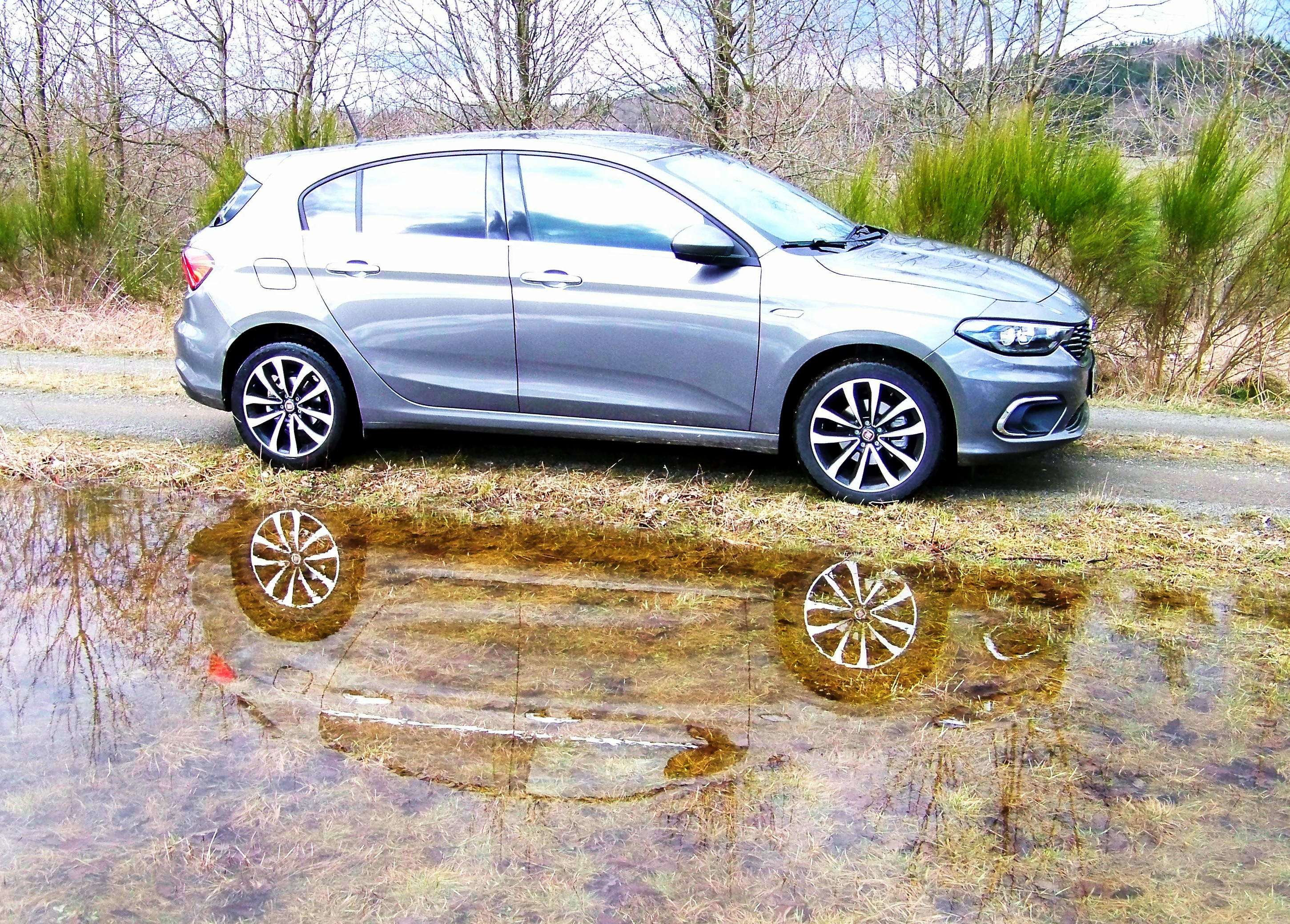 Warten auf den Frühling - mal bunt, mal grau - mit dem Tipo aber niemals langweilig.