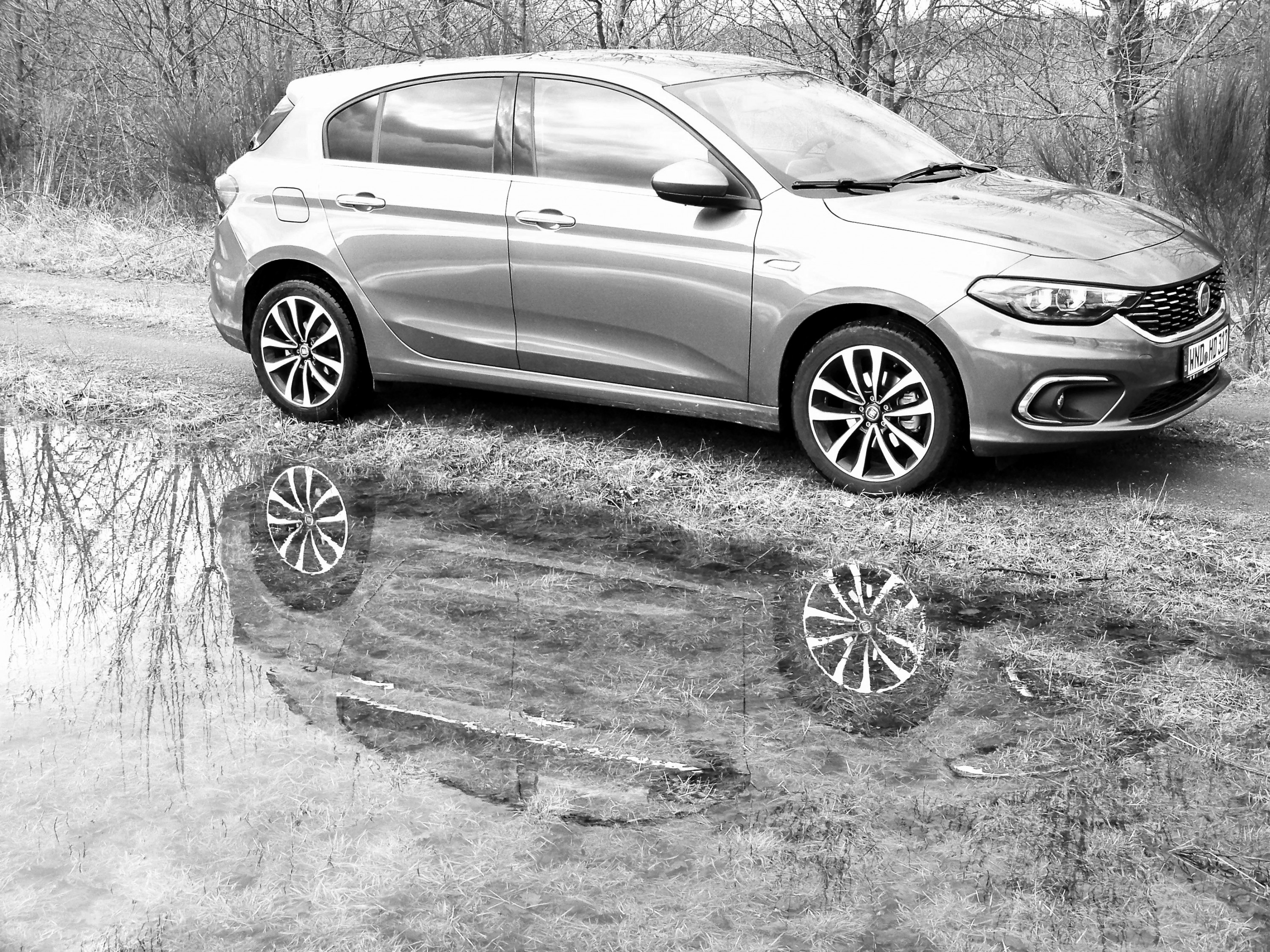 Warten auf den Frühling - mal bunt, mal grau - mit dem Tipo aber niemals langweilig.