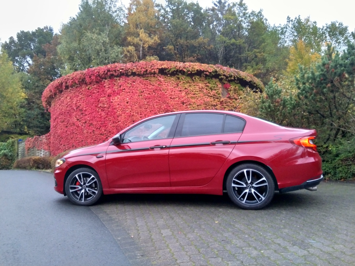 Morgendlicher Ausritt