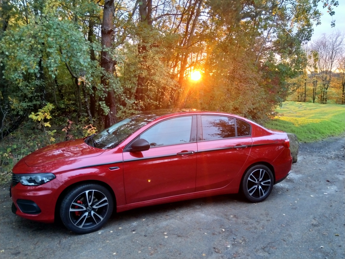 Morgendlicher Ausritt