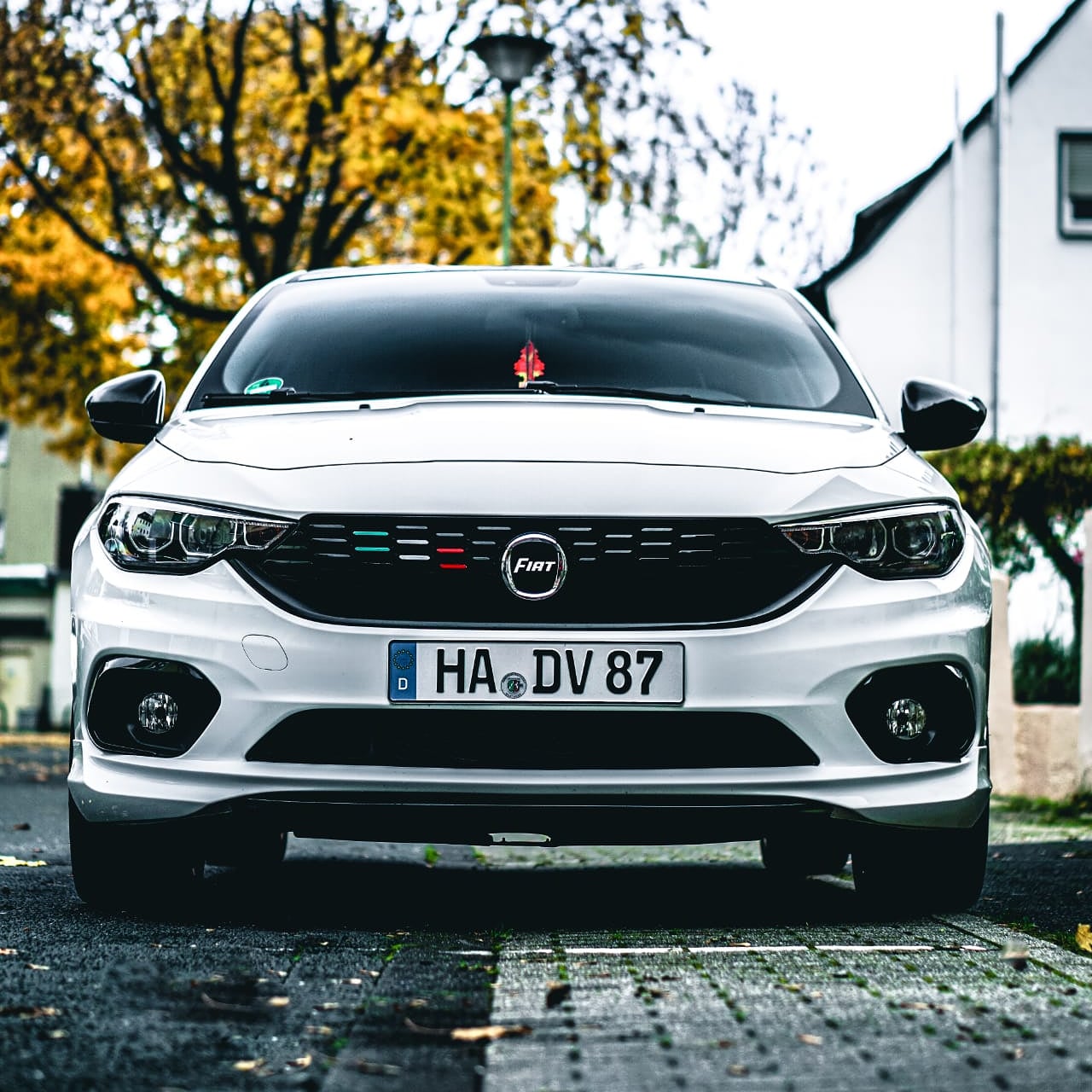 Bella in vollem Glanz und neuem Emblem =)